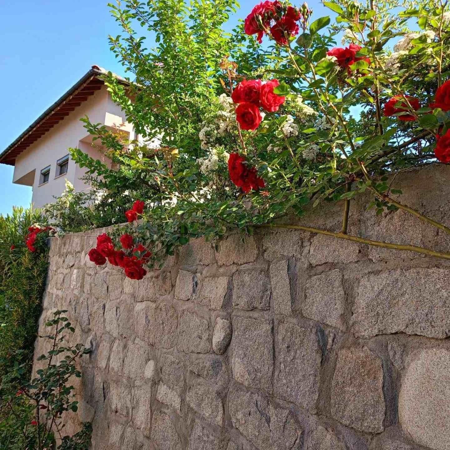 Pirin Private Houses