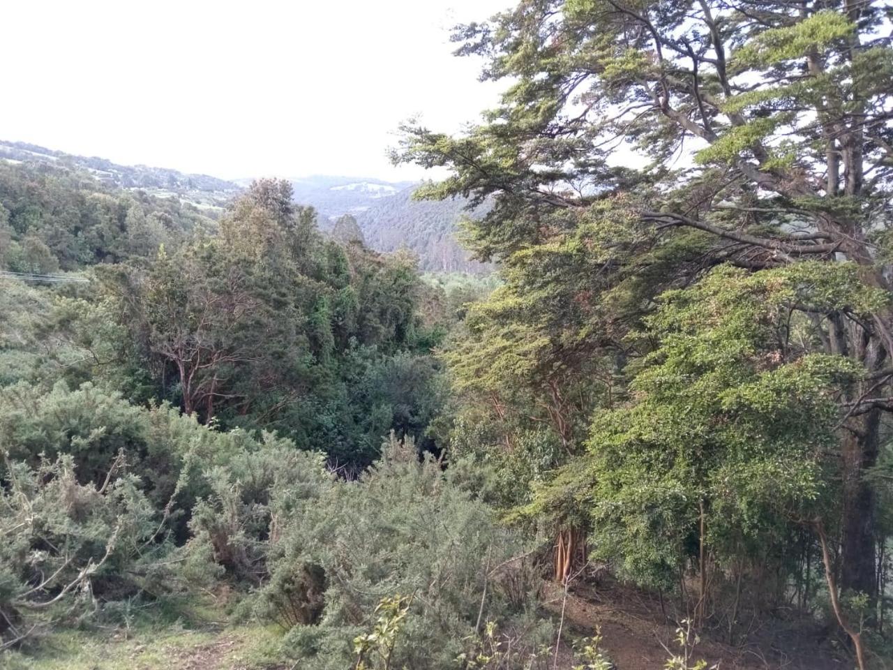 cabañita Campestre, independiente