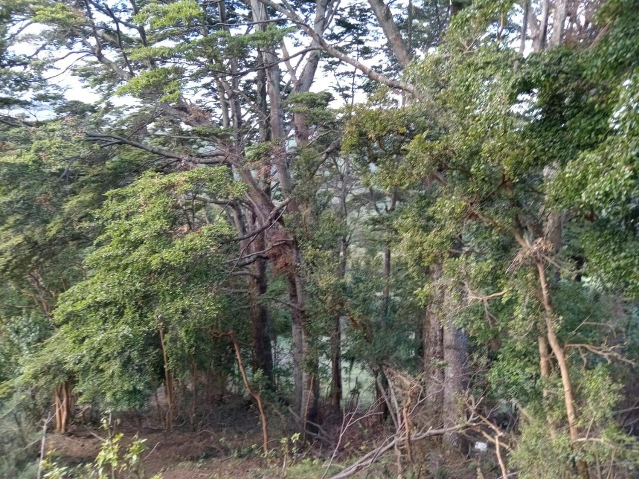 cabañita Campestre, independiente
