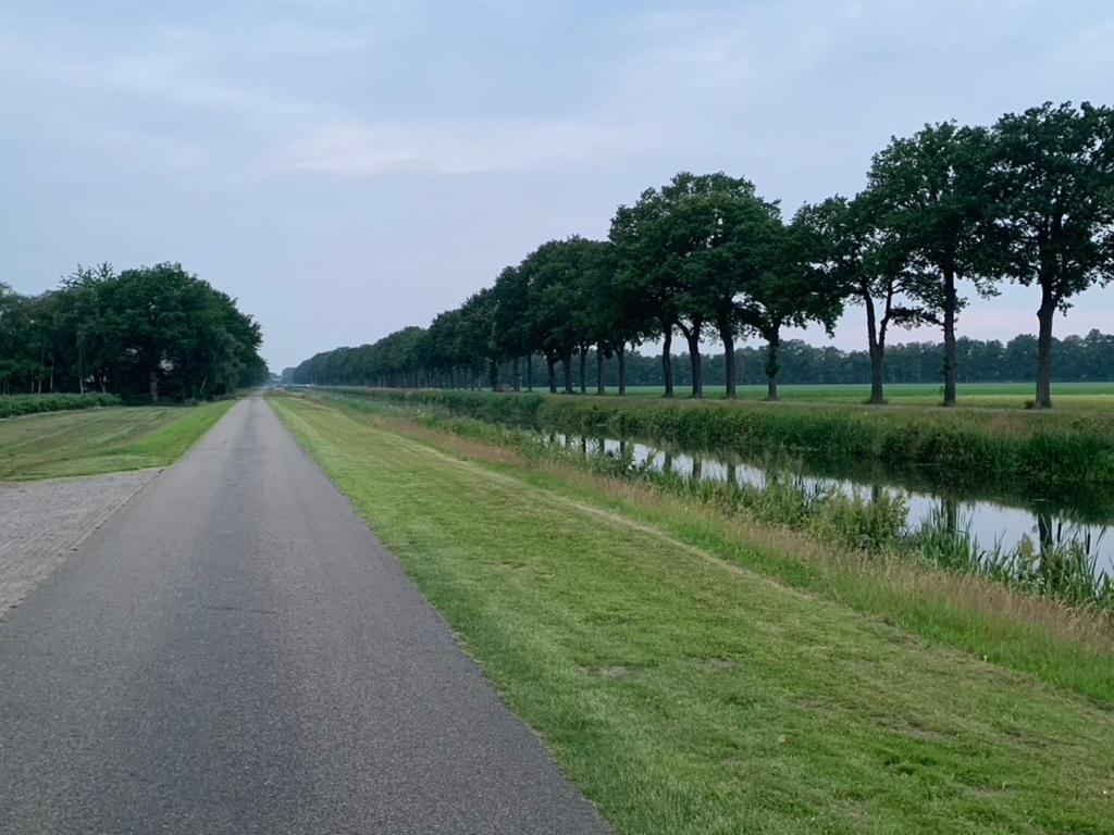 De Hondsrug view 5