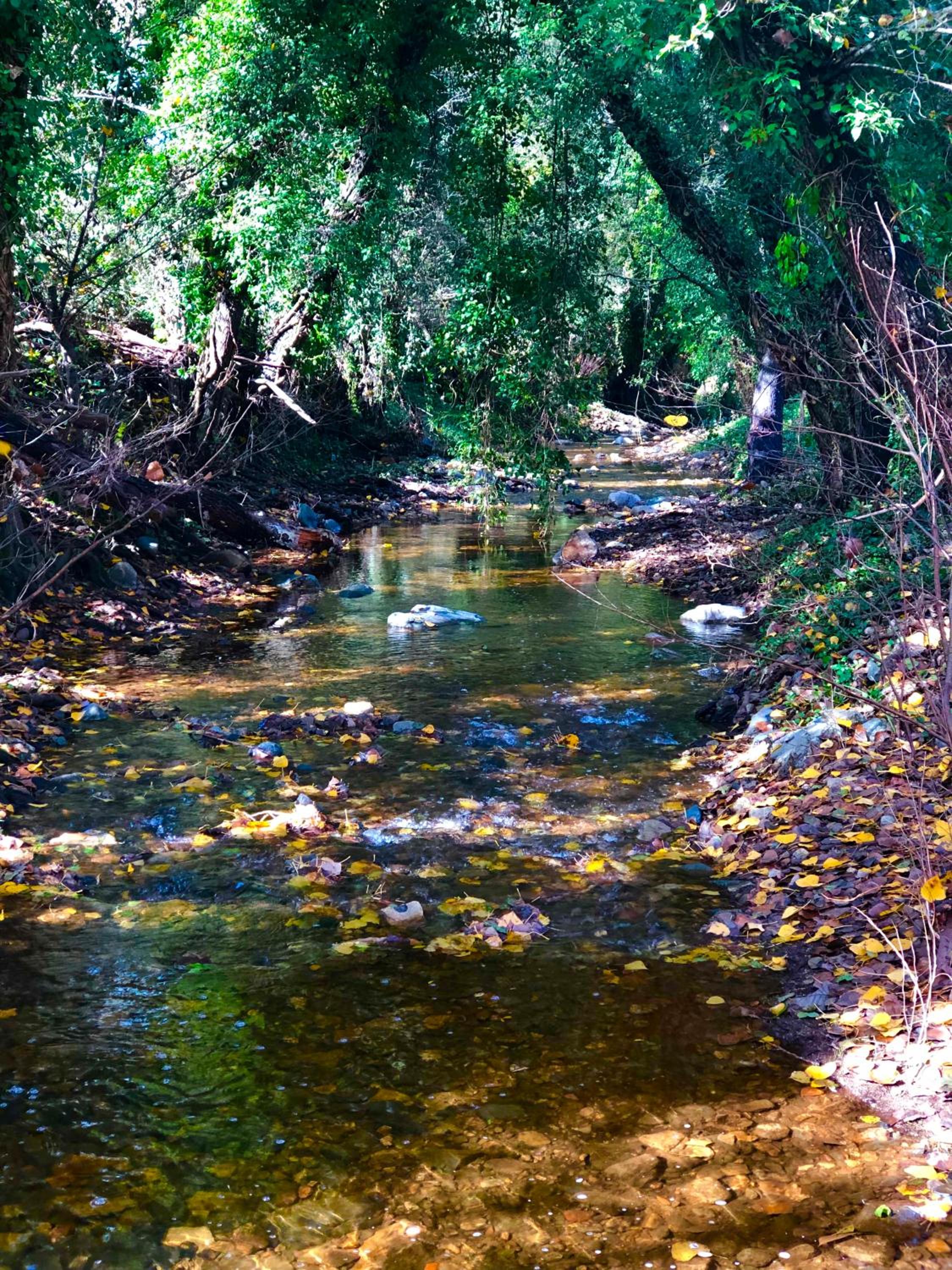ALOJAMIENTO RURAL EL CASTAÑO