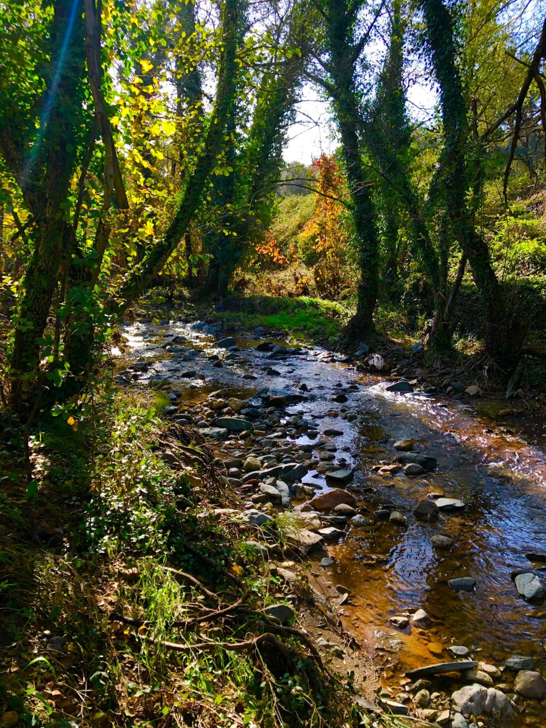 ALOJAMIENTO RURAL EL CASTAÑO