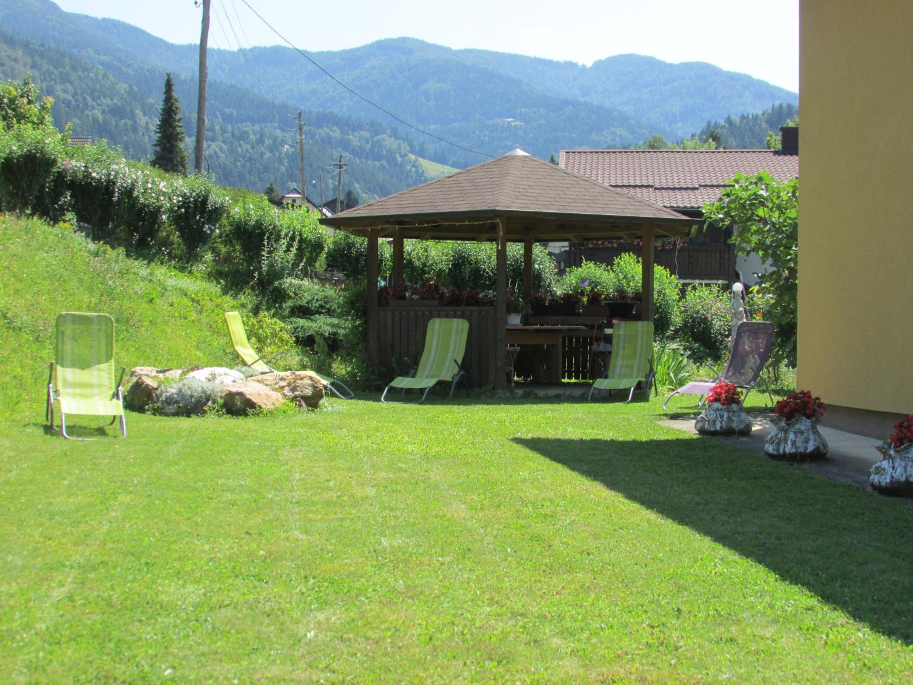 Photo 41