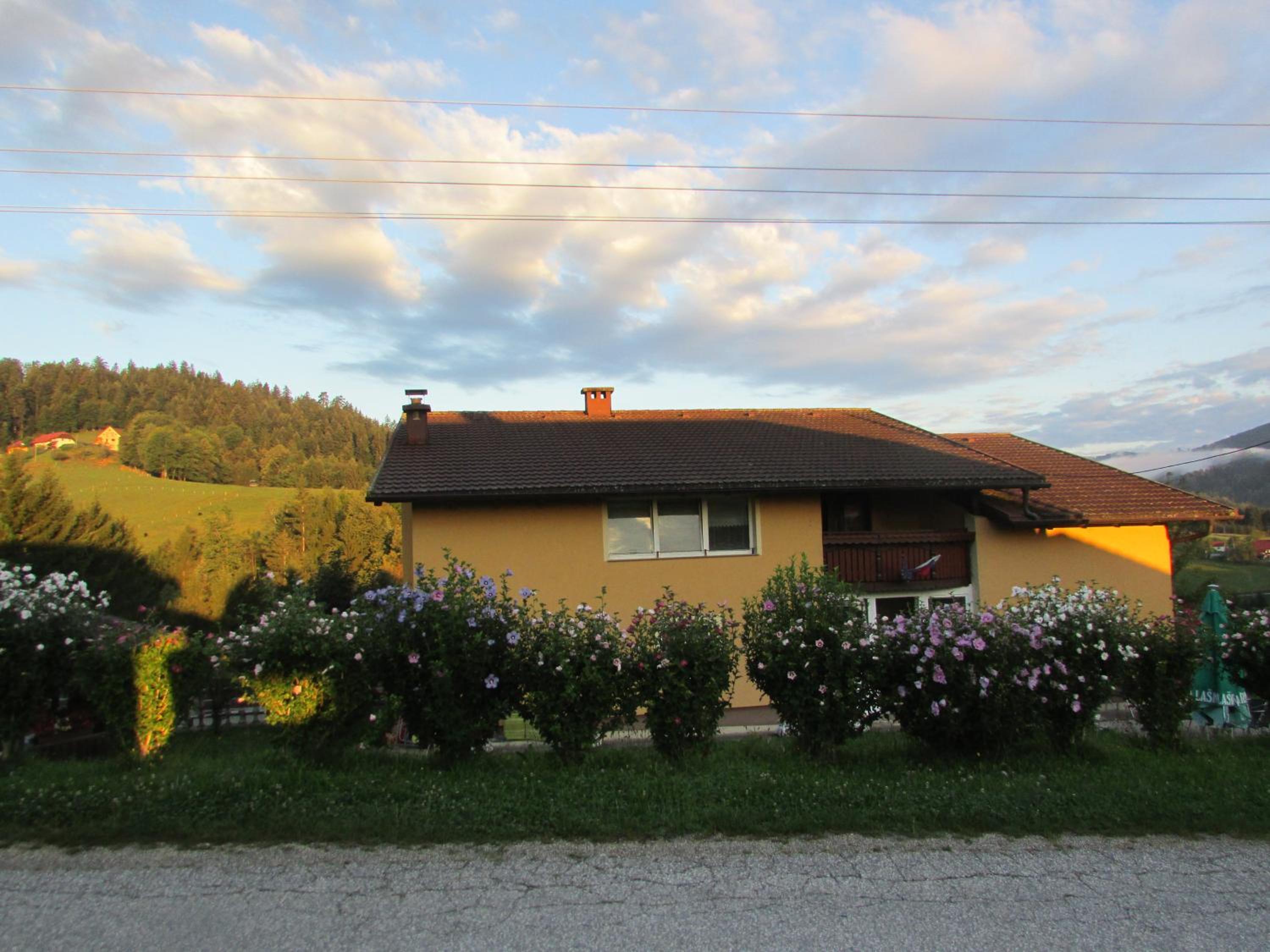 Photo 31