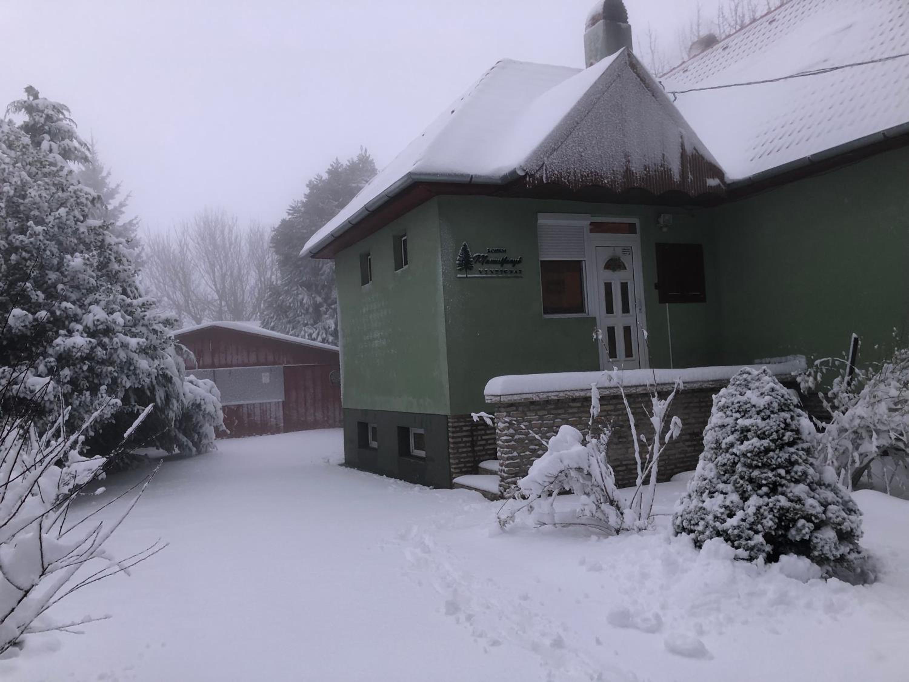 Bakonyi Mamutfenyő Vendégház view 4
