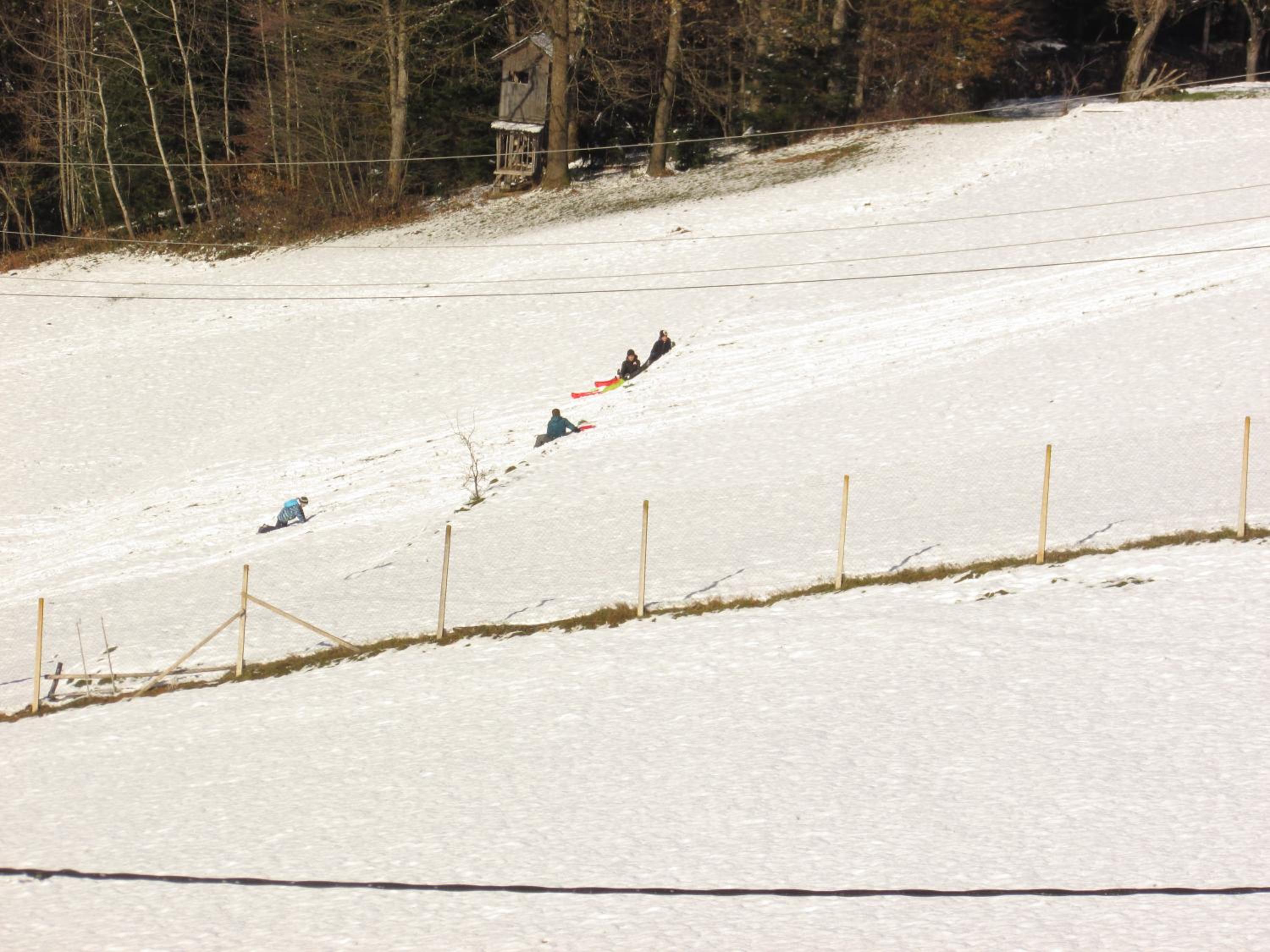 Photo 44