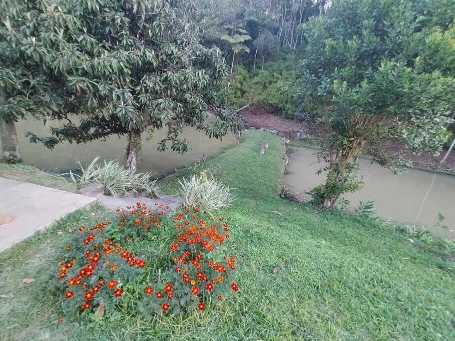 Sítio Paraíso Verde