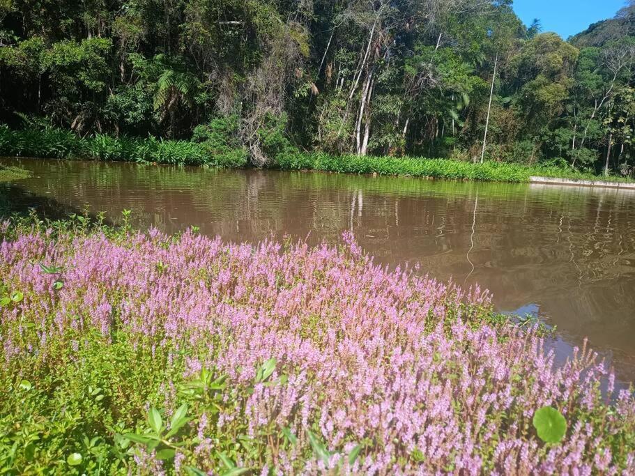 Sítio Paraíso Verde