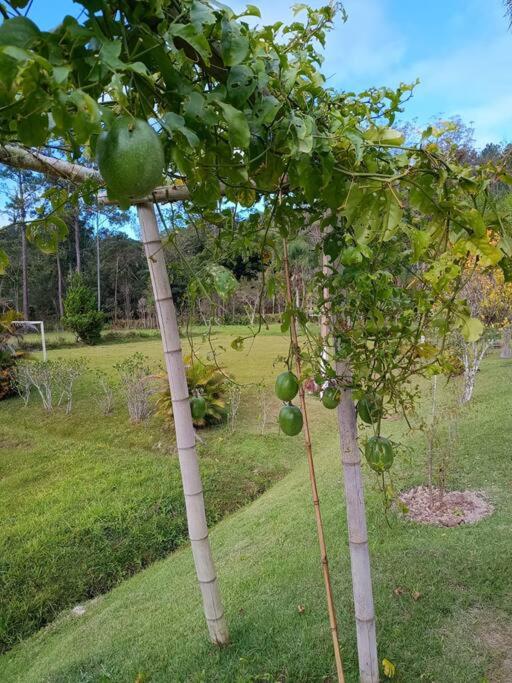 Sítio Paraíso Verde