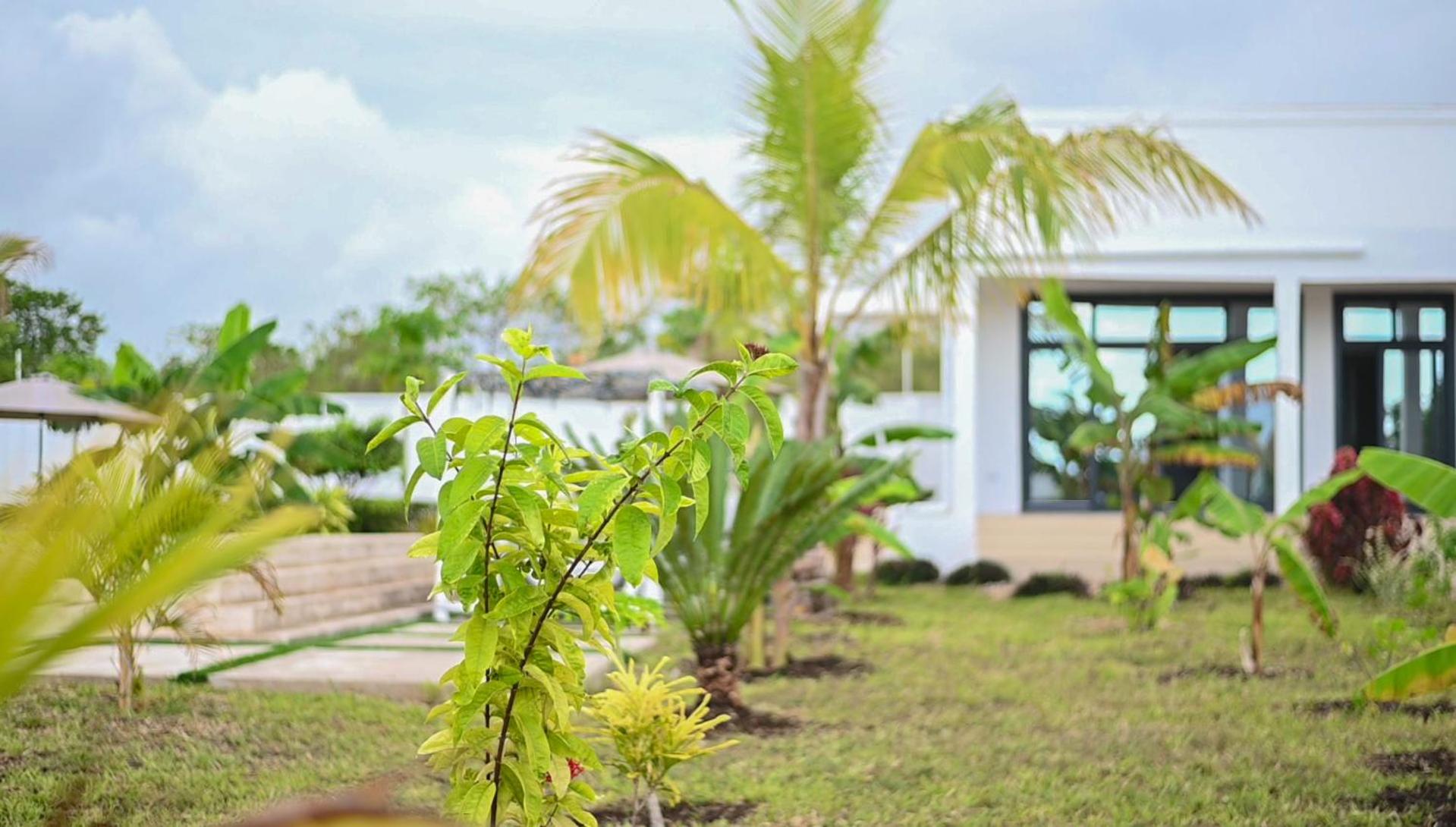 AIKA villa, Michamvi beach