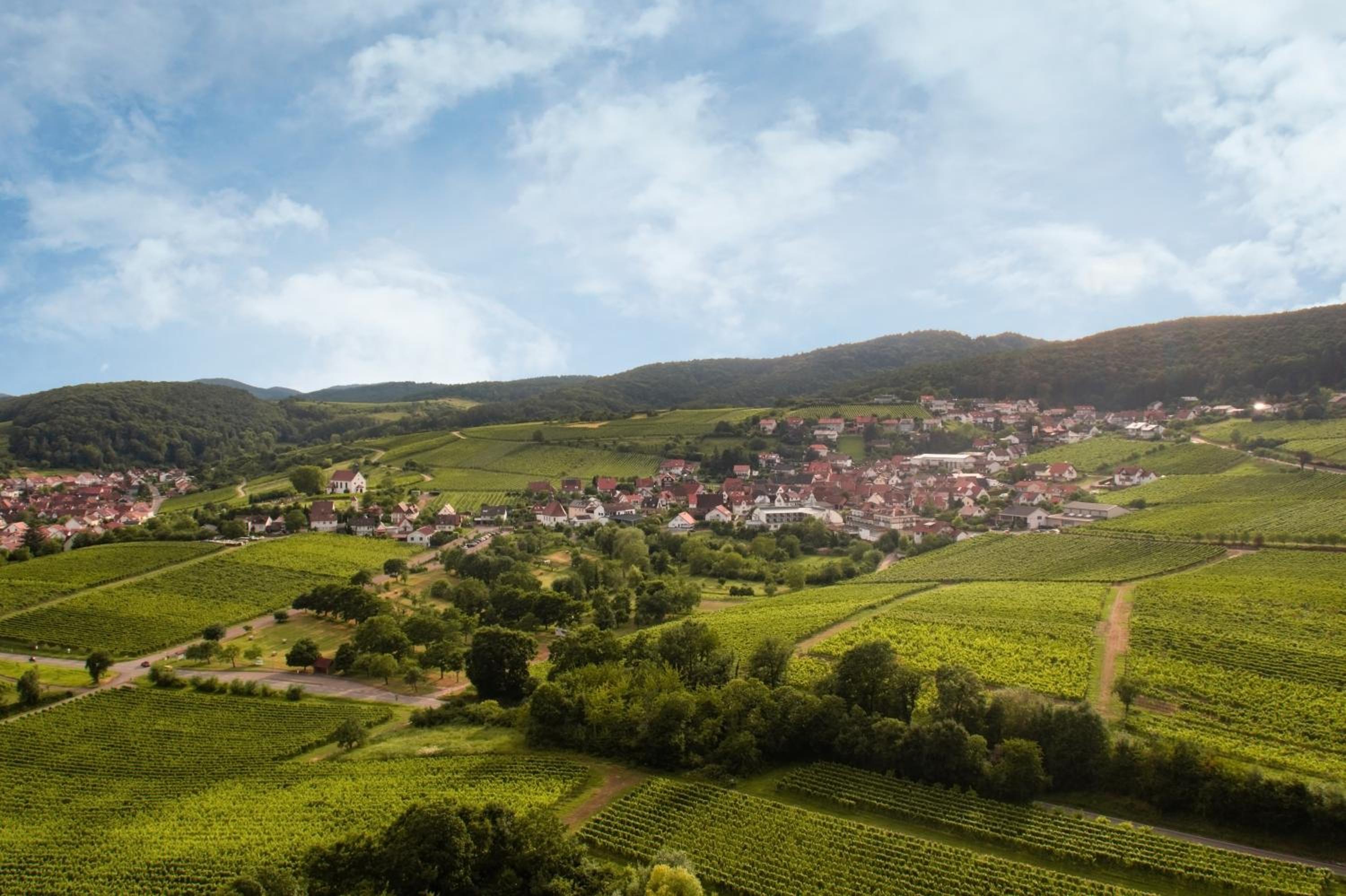 Winzerlodge, Wohnung Kirchberg