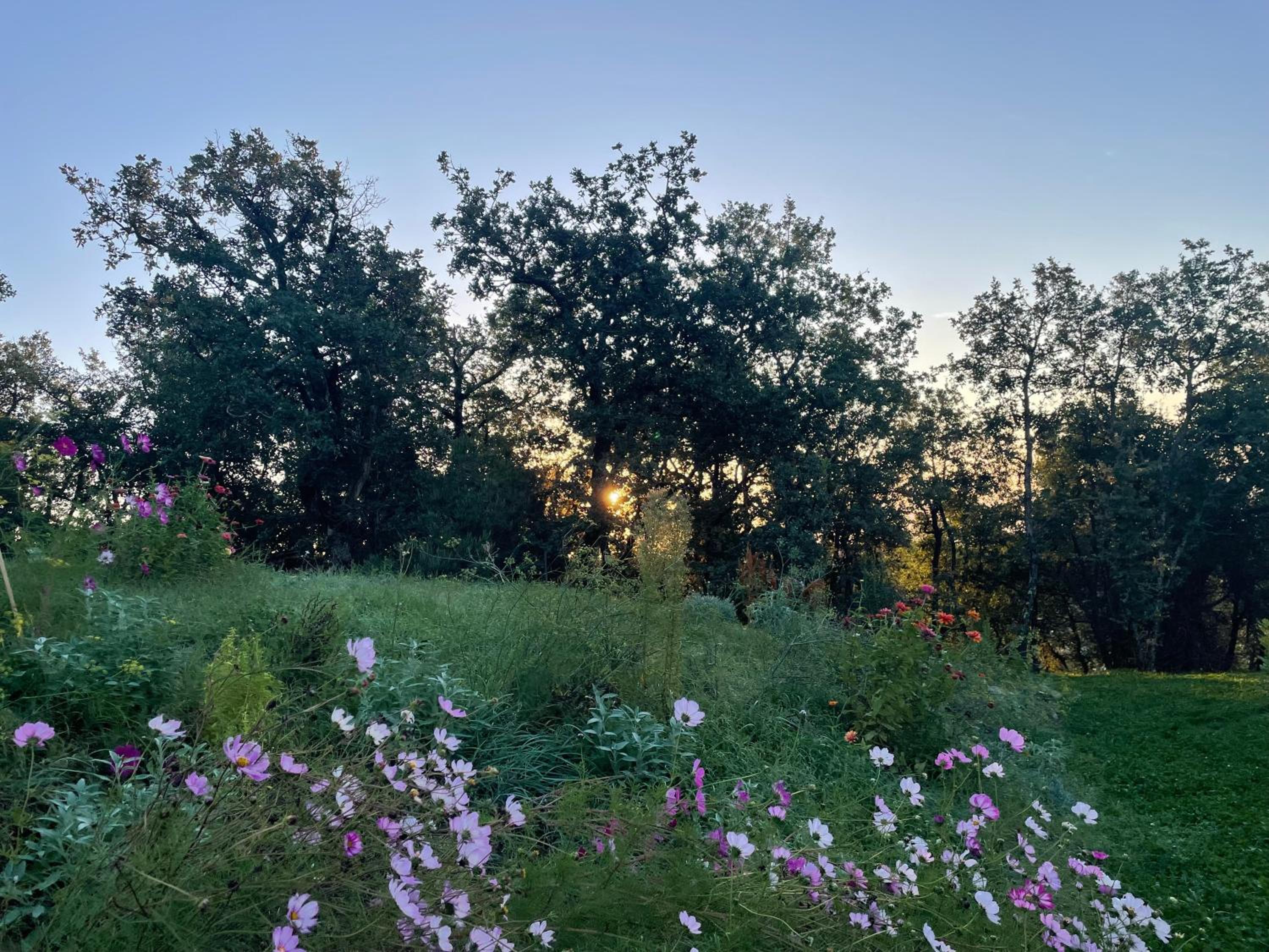 Villa AltoGiardino Chianti Senese