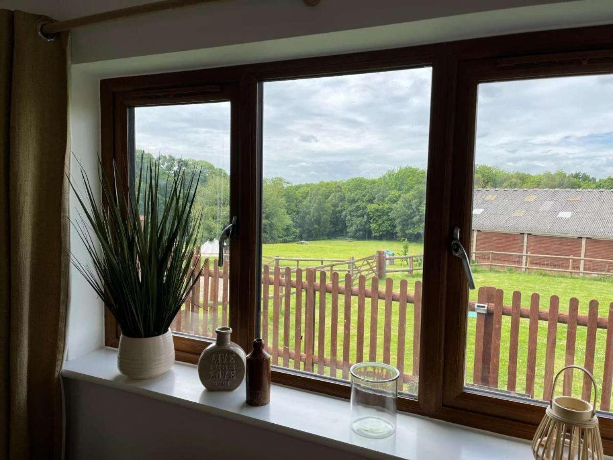 Oak Valley Lodges & Camping view 2