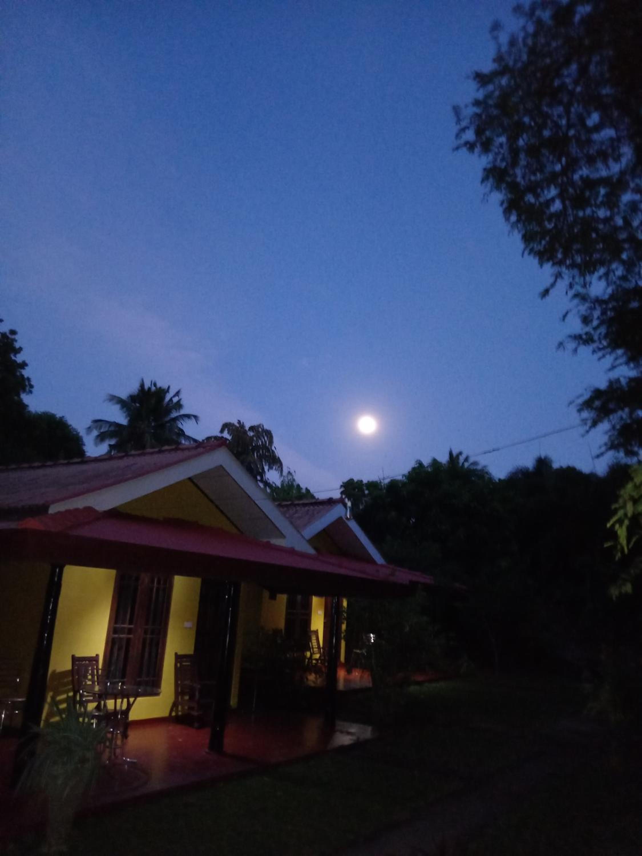 Amazon Cabanas