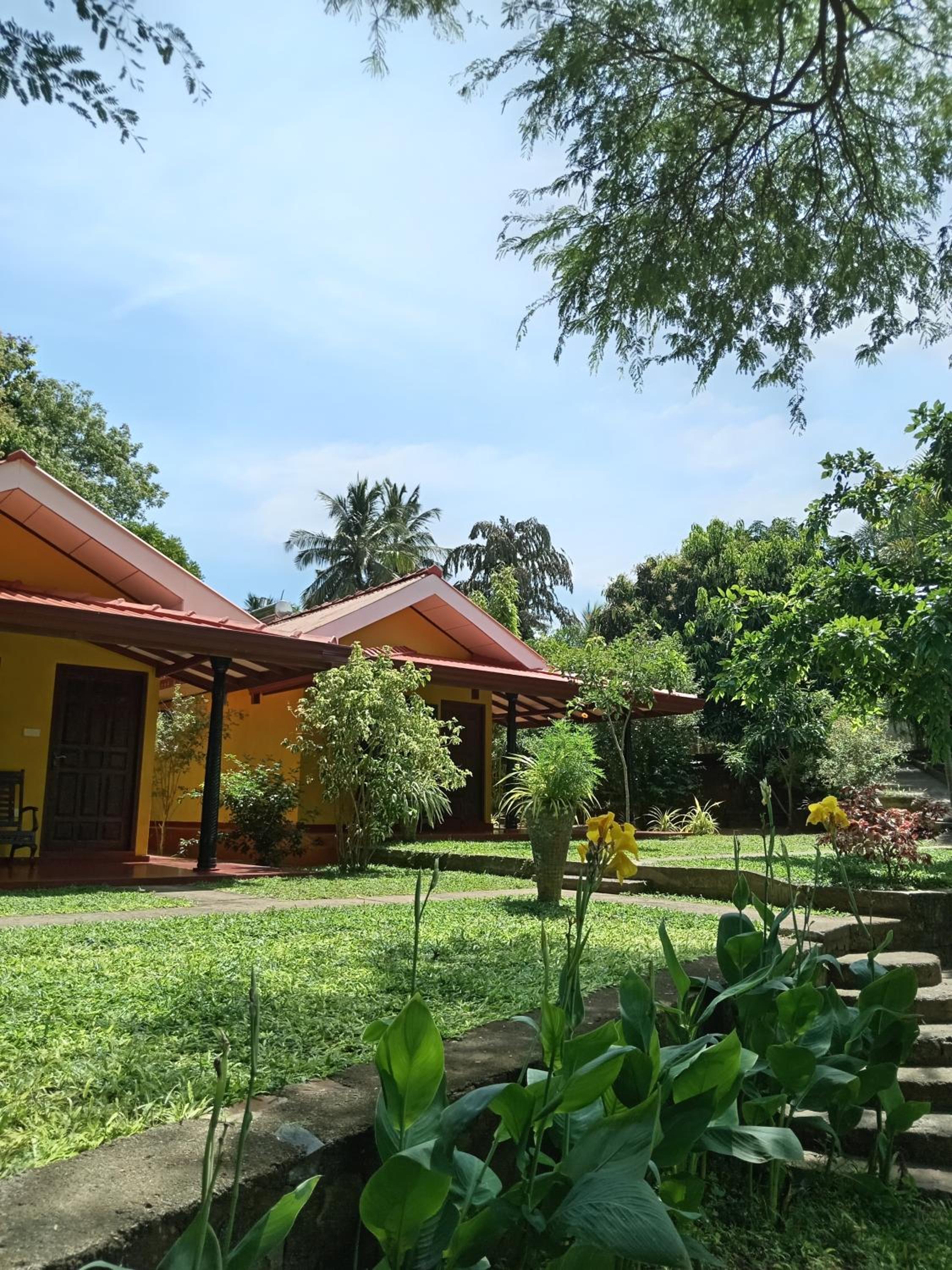 Amazon Cabanas