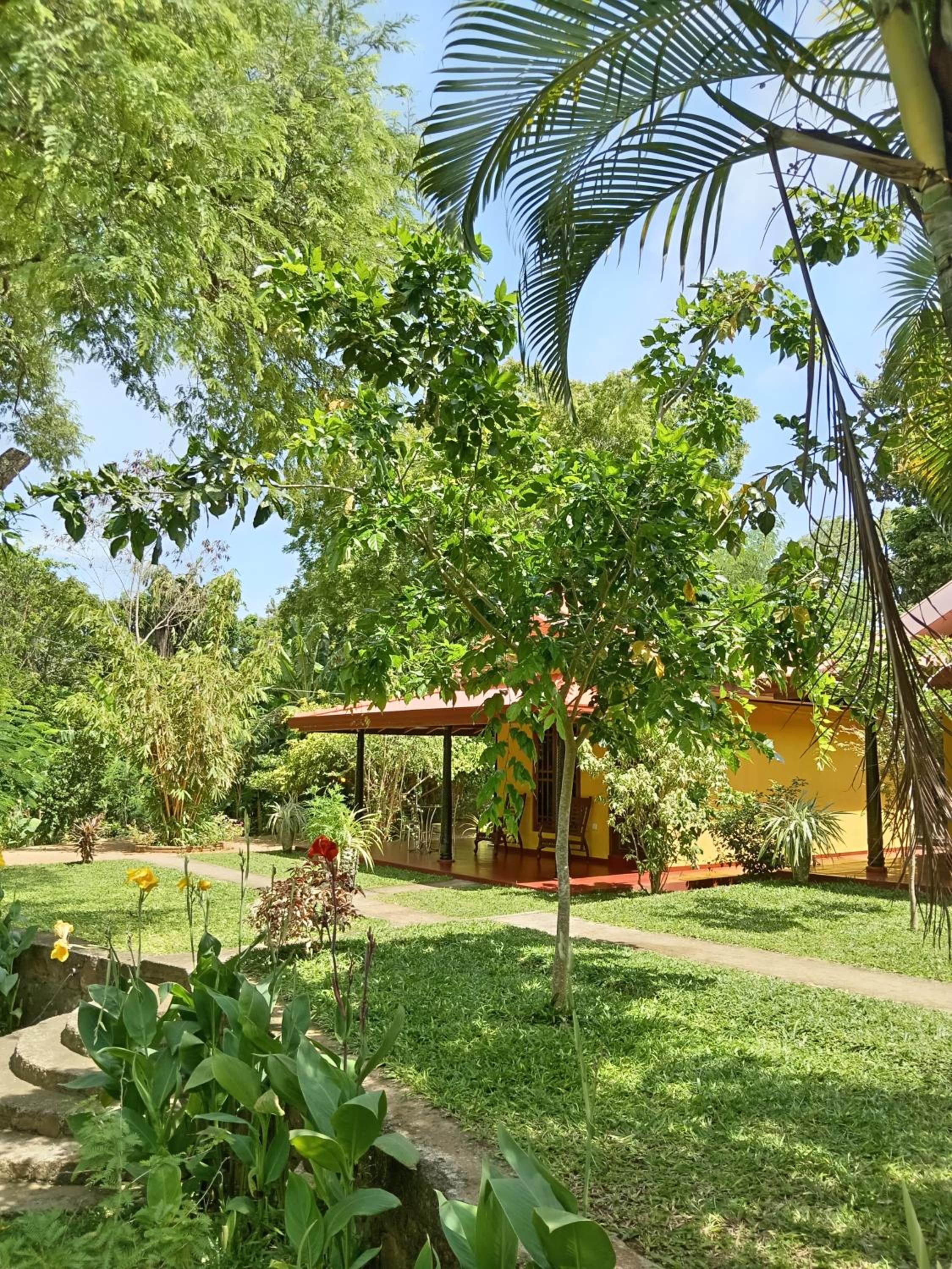 Amazon Cabanas