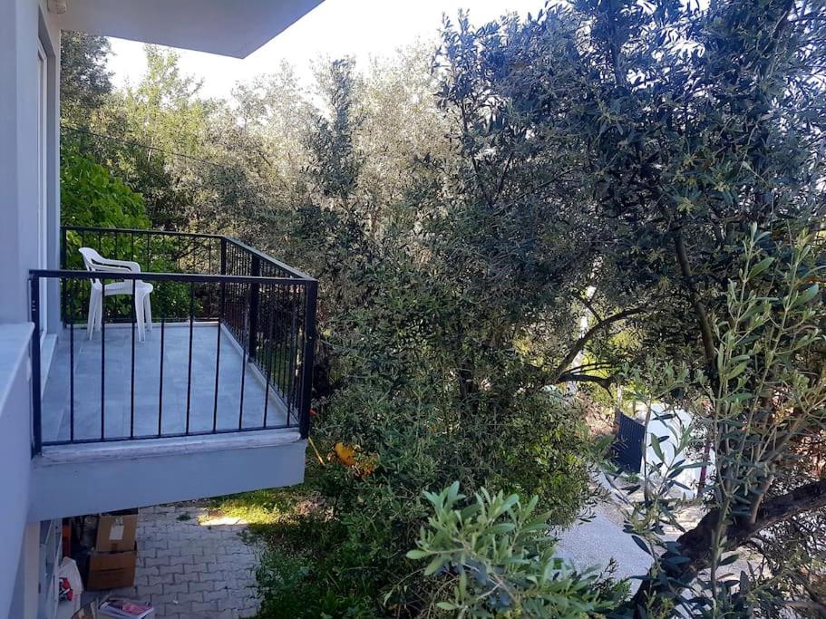 Olive grove mansion - kösedere village