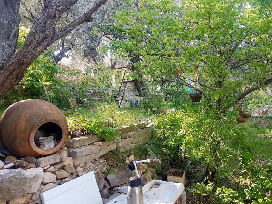 Olive grove mansion - kösedere village