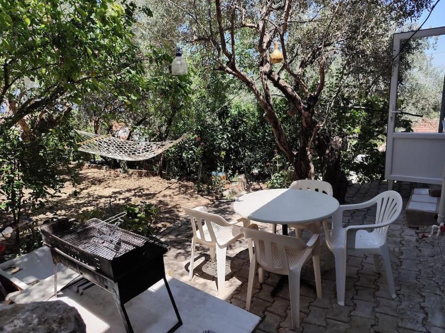 Olive grove mansion - kösedere village