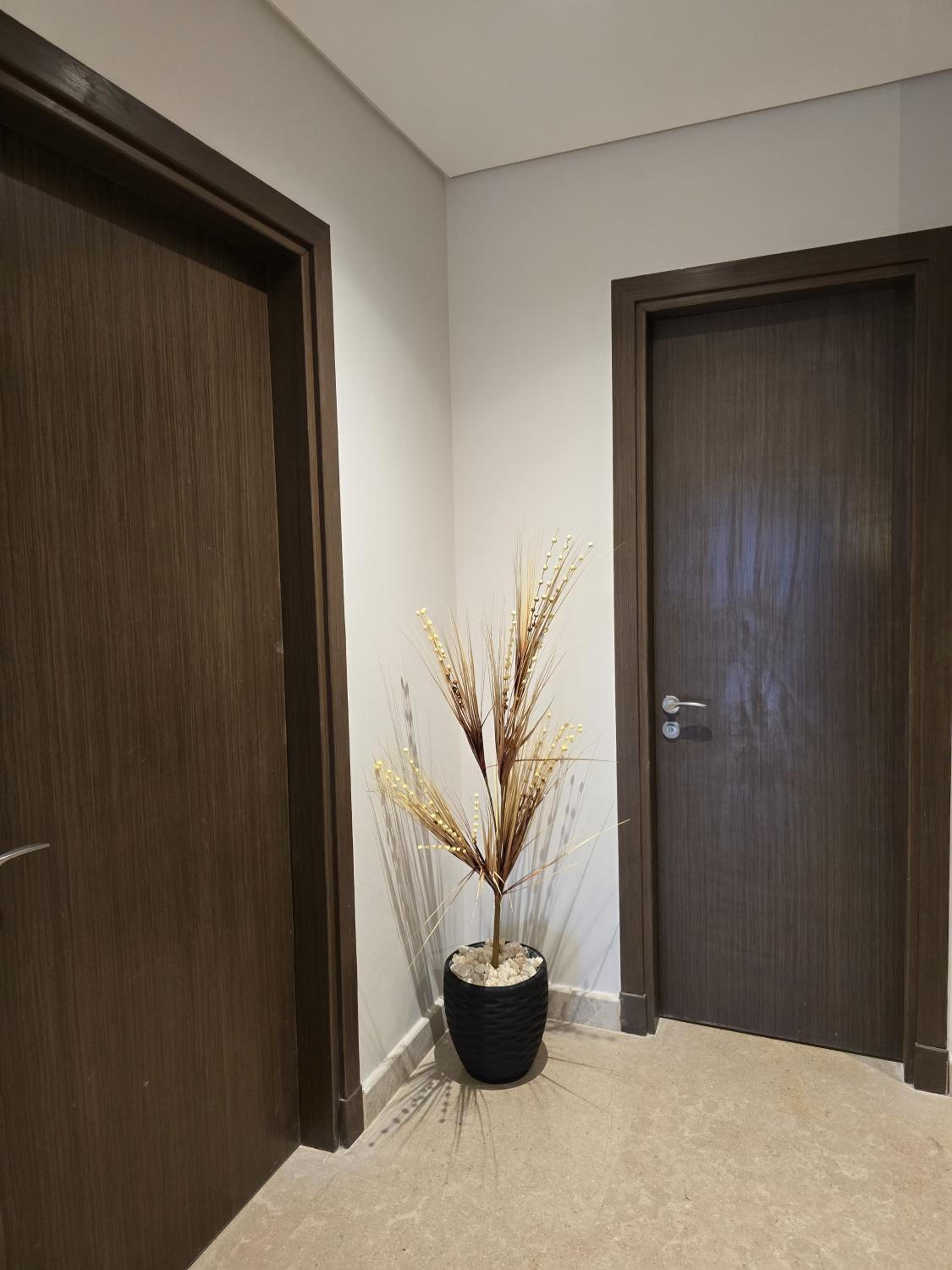 Elegant Zed Park Apartment