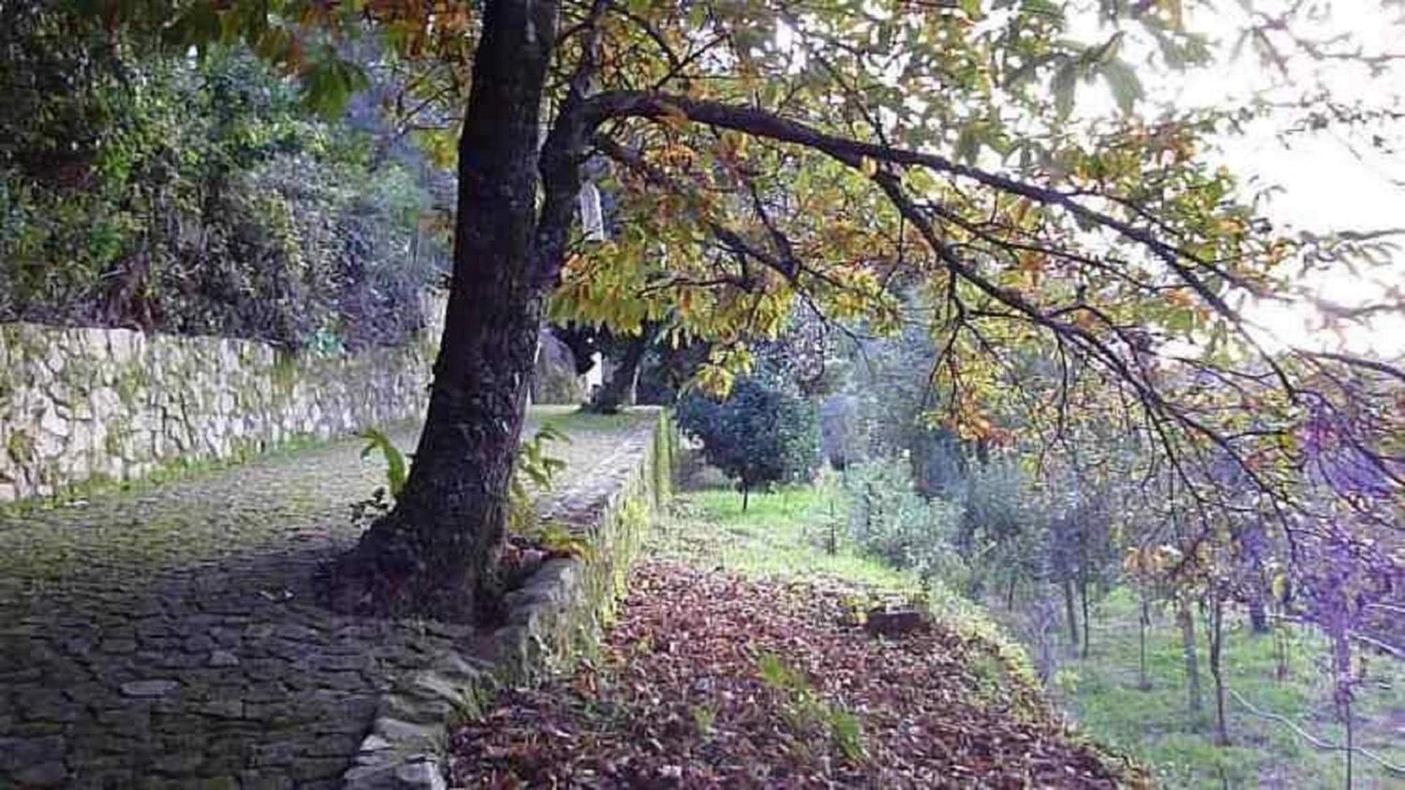 Photo 52