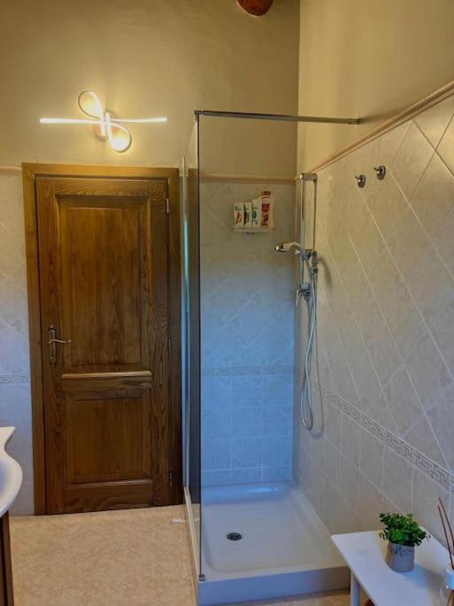 Antica Vigna Toscana photo 5