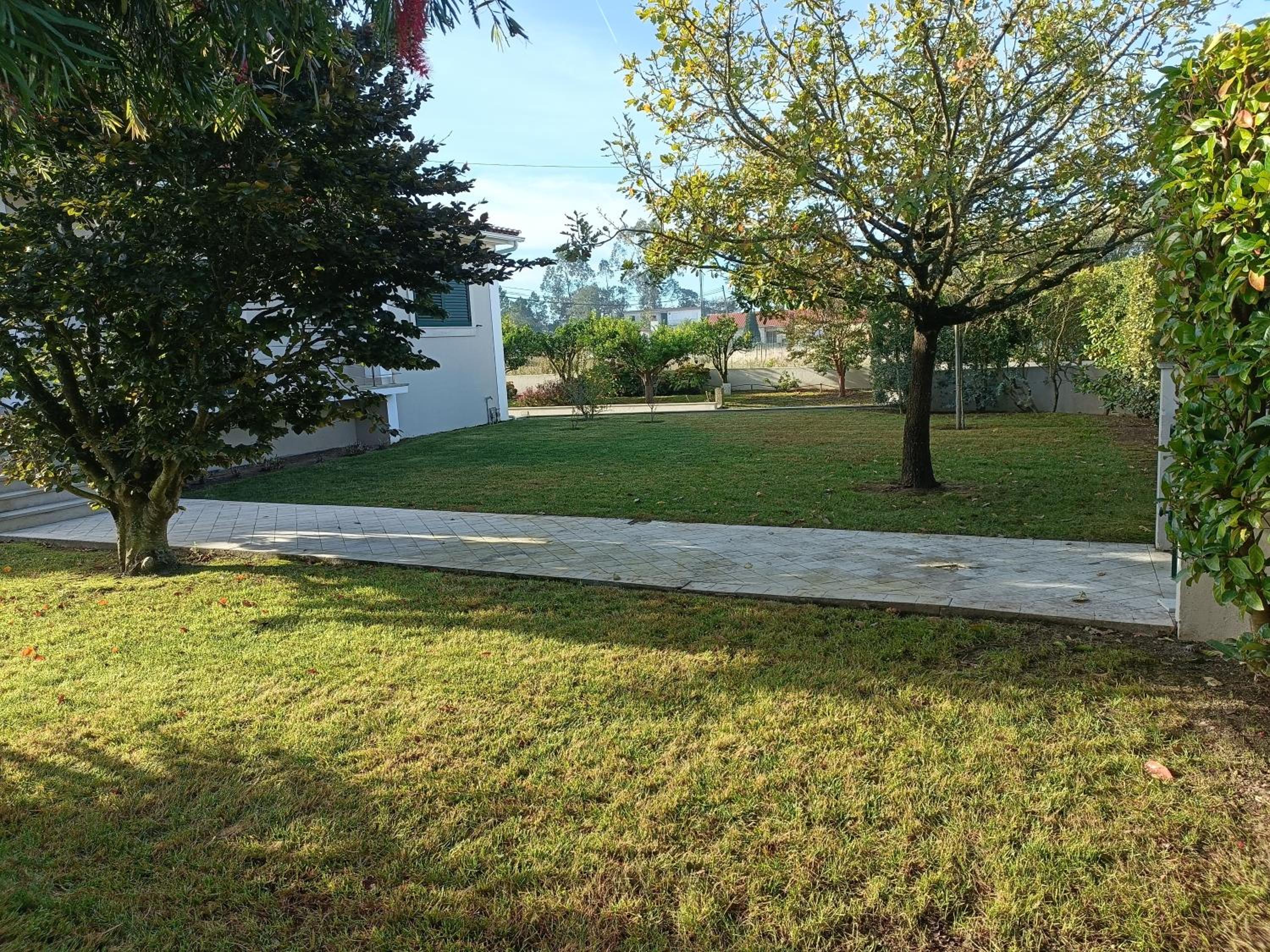 Photo 35