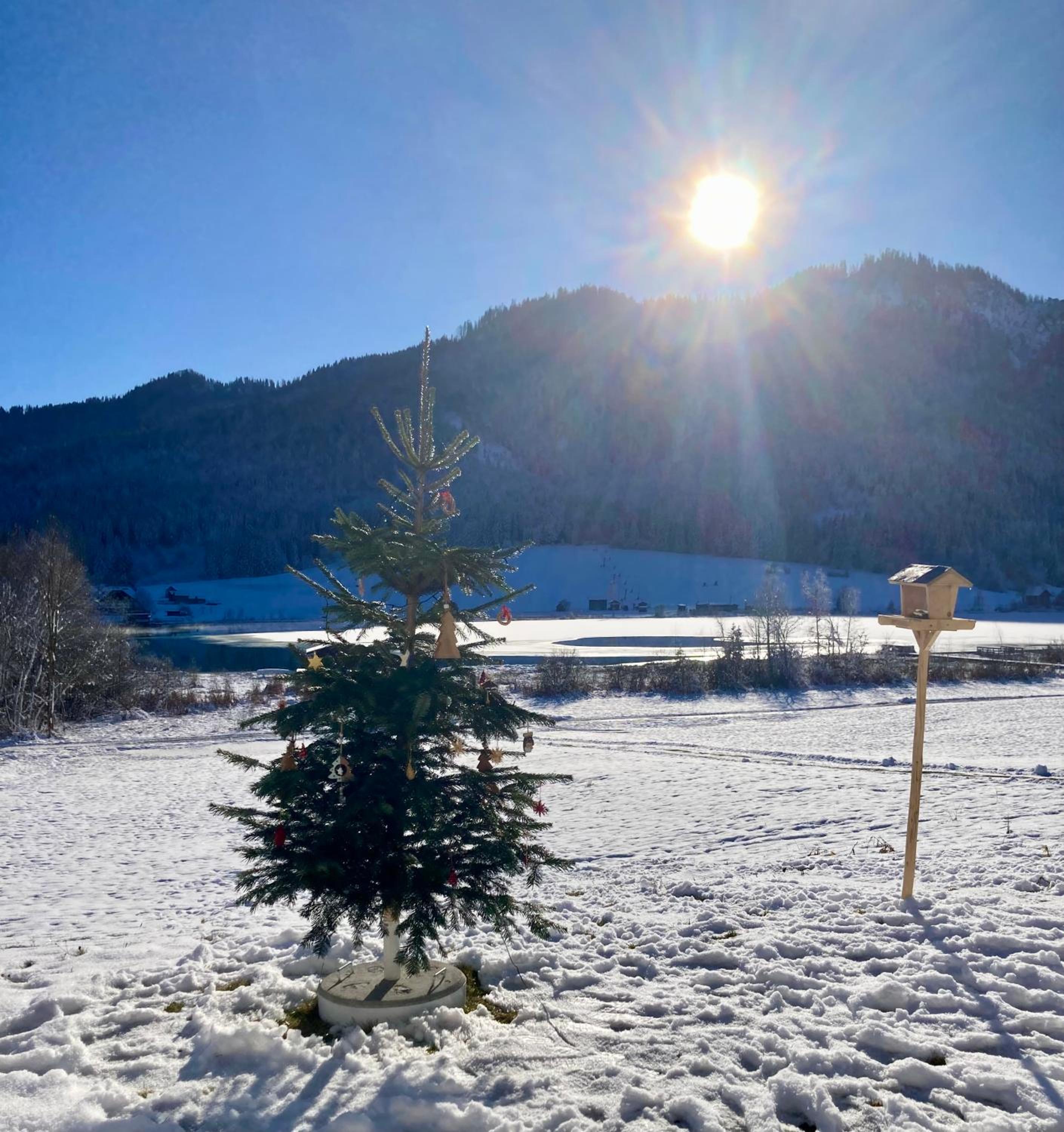 Garten Seeapartments Kärntnerhof Hundefreundlich