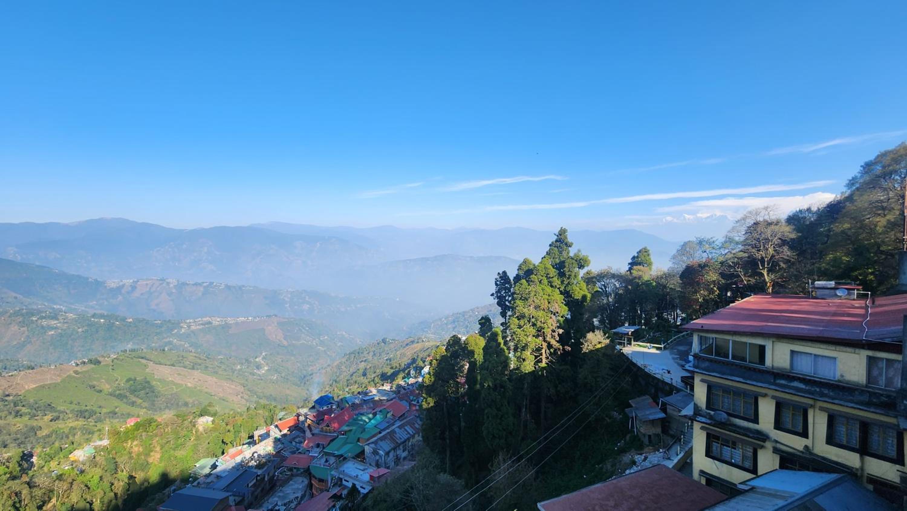 Avira Homestay