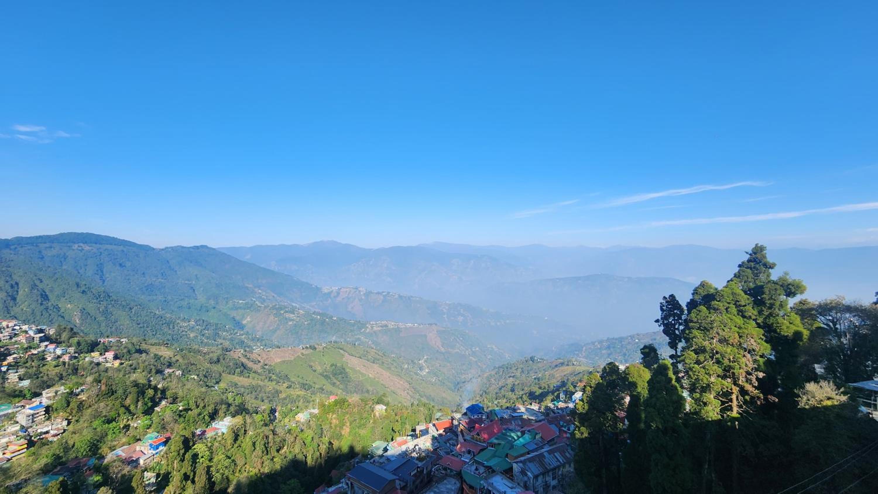 Avira Homestay