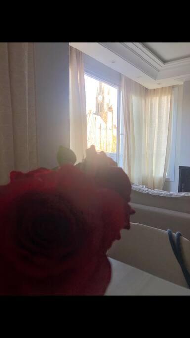 Santo Descanso Canela