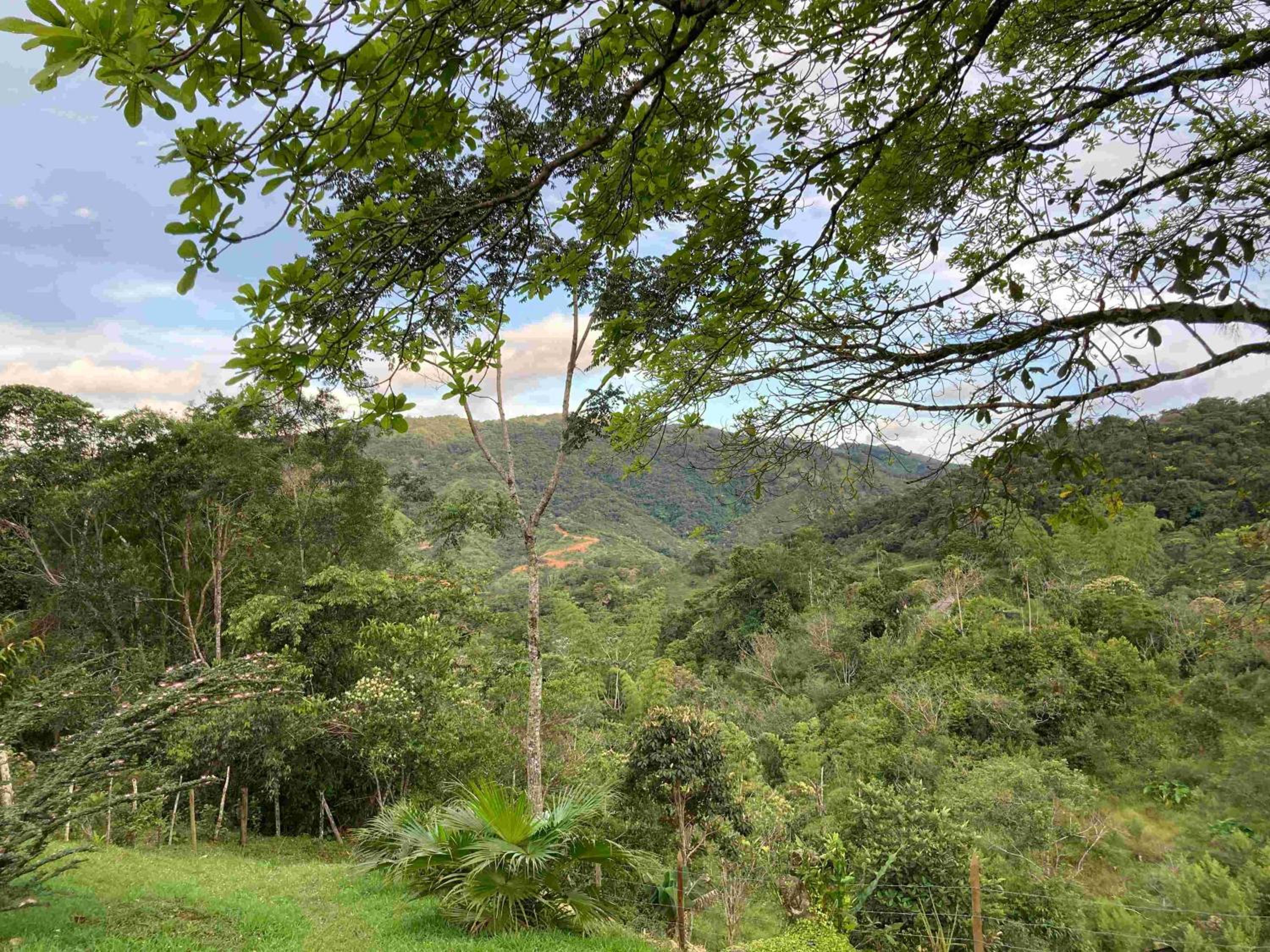 Casa Cascada