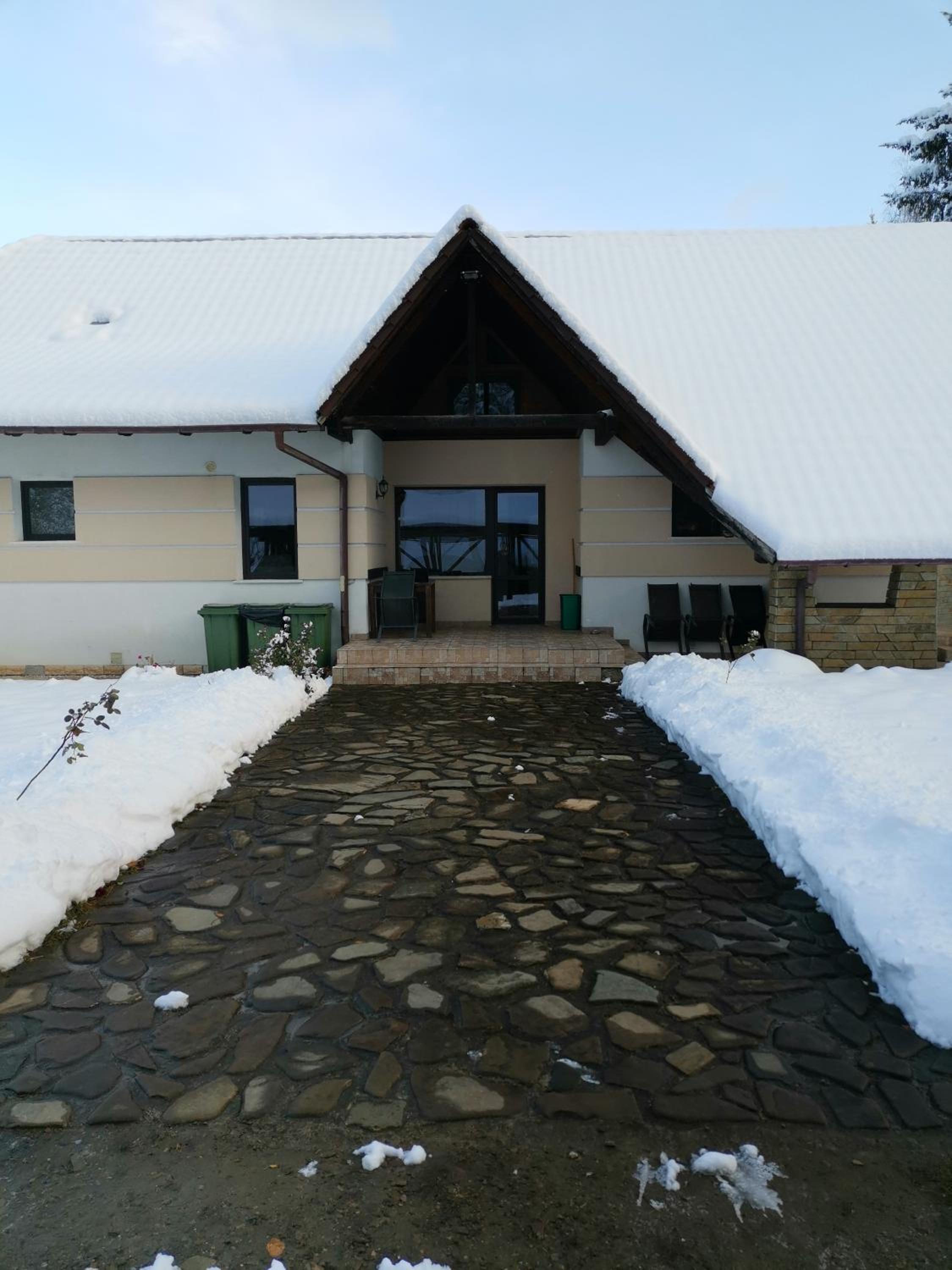 Vila Arcadia Sucevita