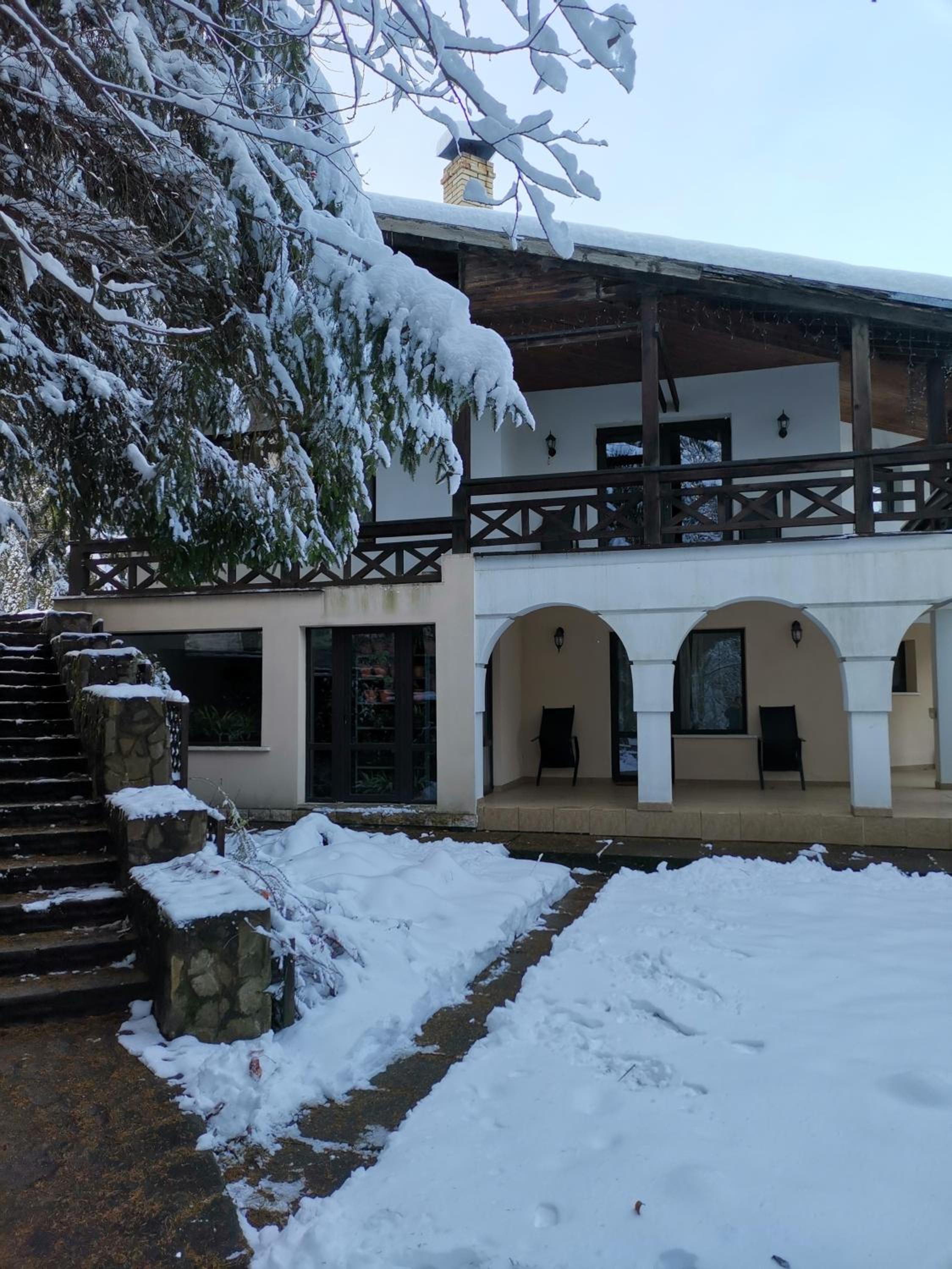 Vila Arcadia Sucevita