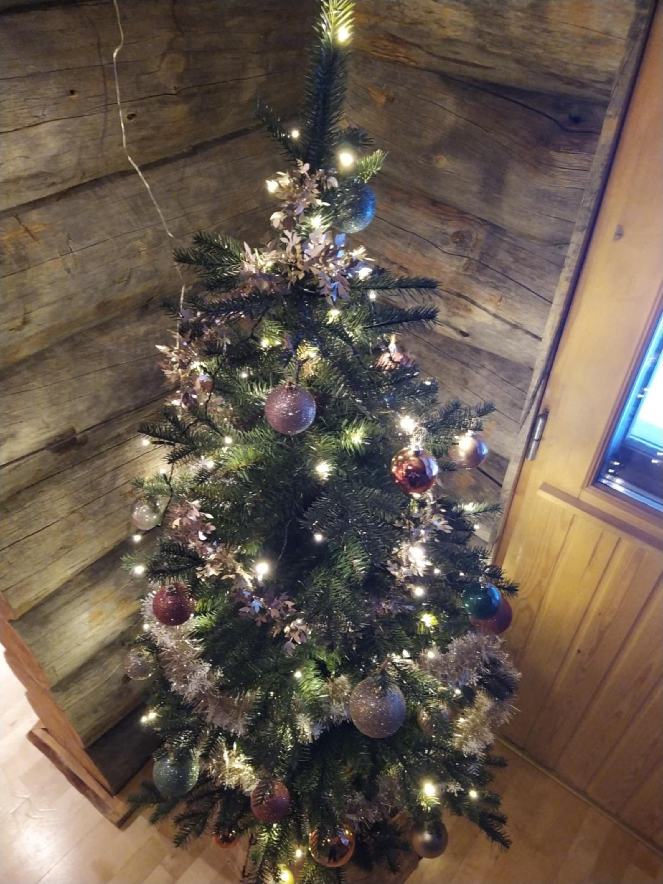 Photo 31