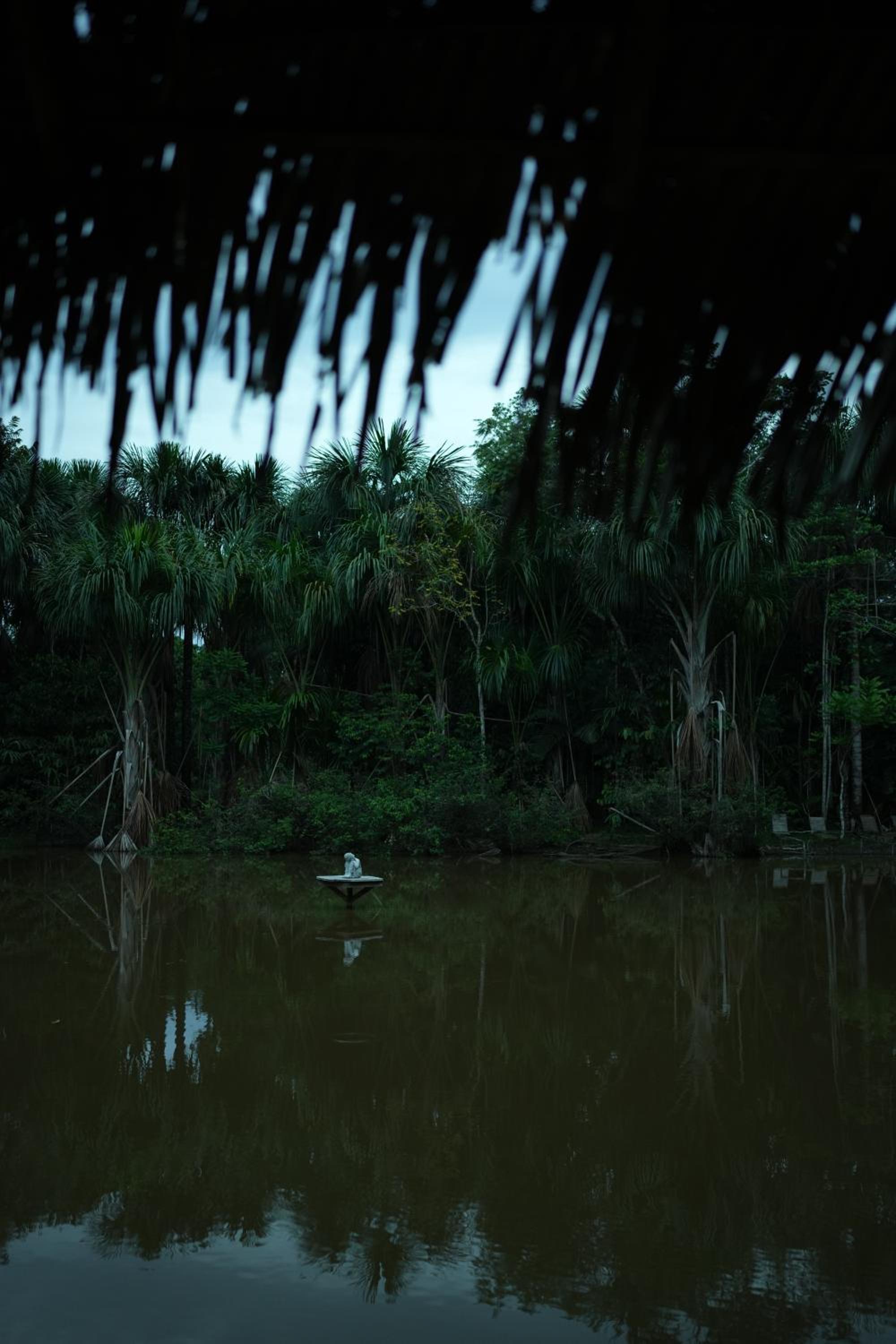 AWAKEN Amazonian Healing Resort ALL INCLUSIVE view 5