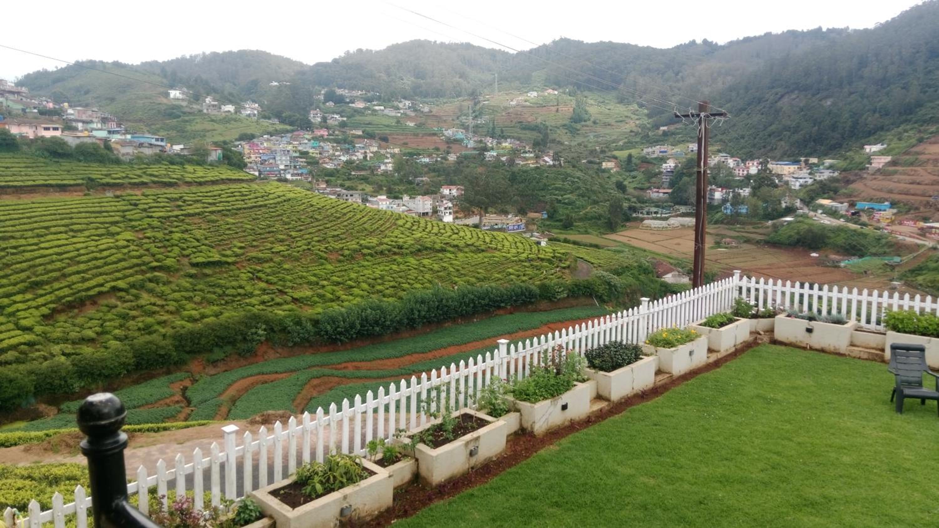 The silver dale homestay 1 view 5
