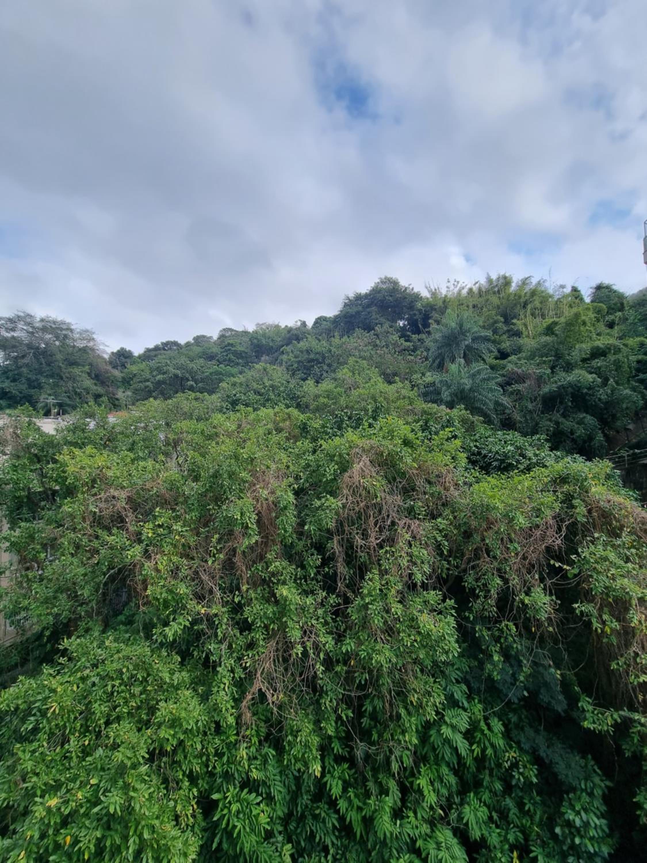 Apartamento espaçoso em Laranjeiras, rua do Cristo Redentor
