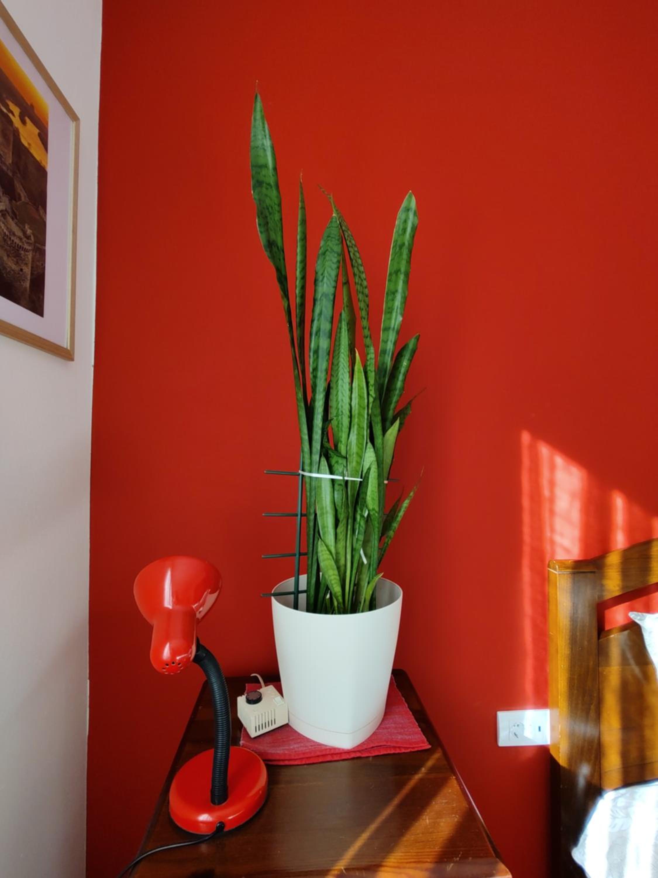 BGholik studio apartment view 5
