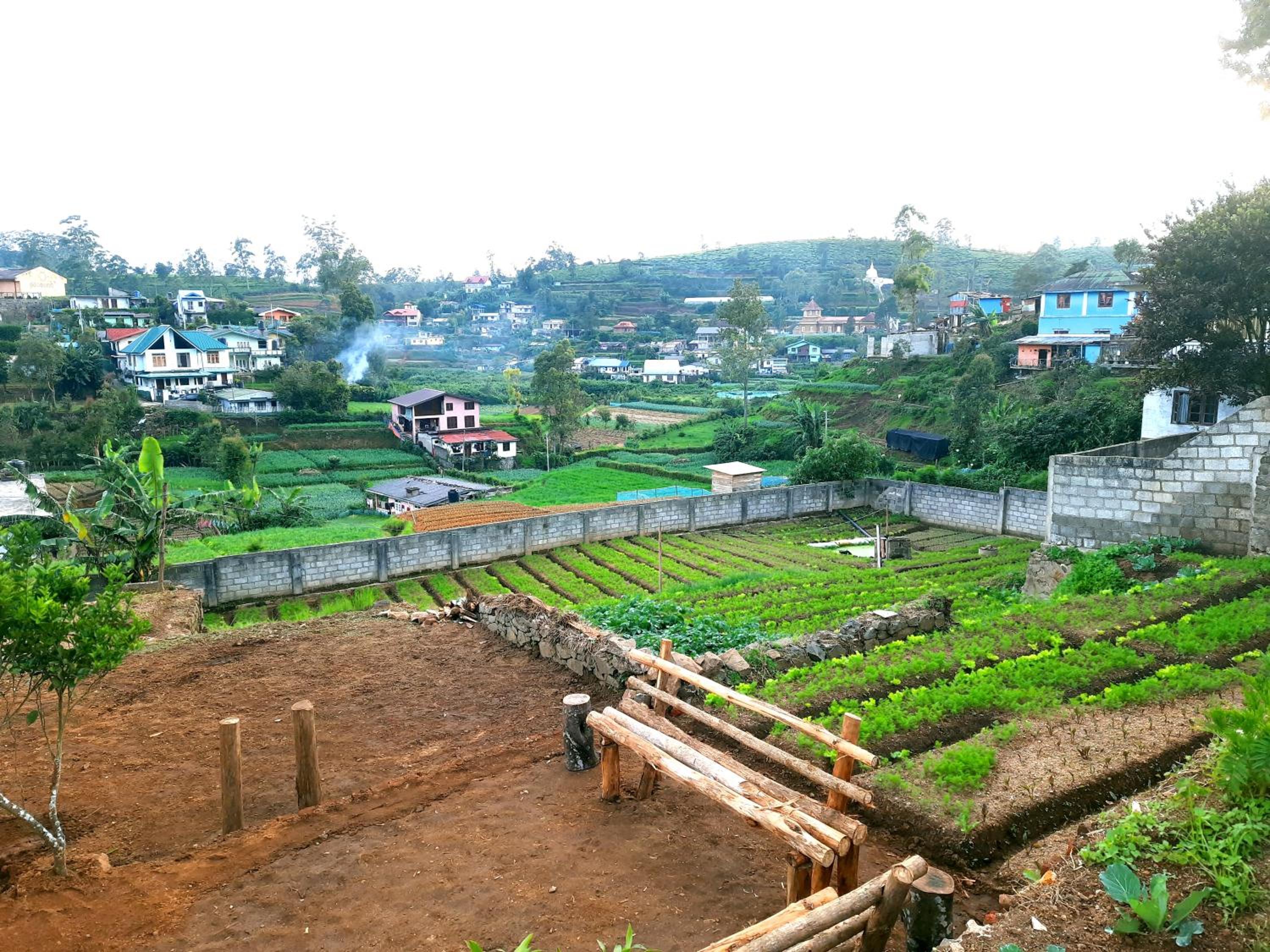 Green Lodge - Farm Stay view 4