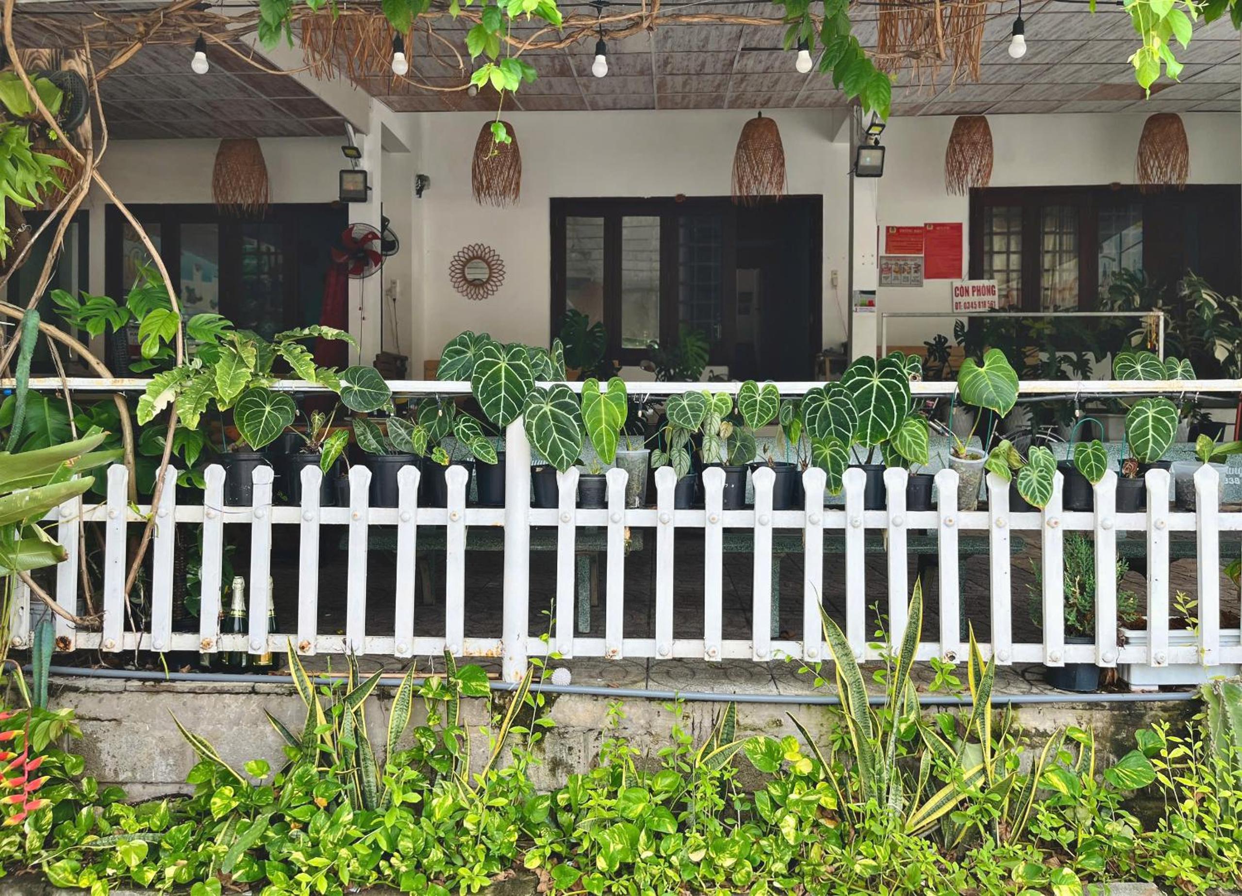 N'T Homestay view 3