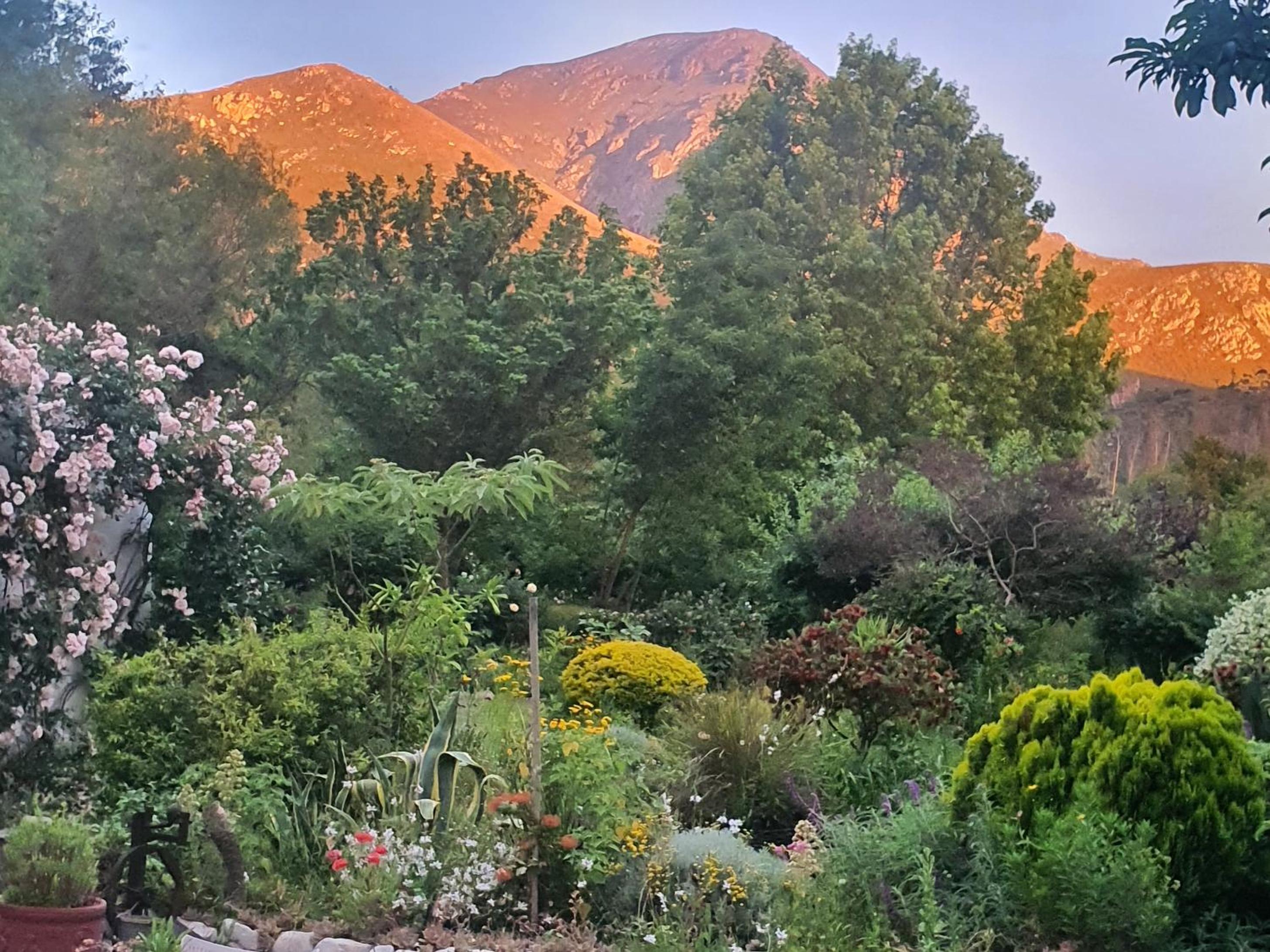 Belle vallée Cottage