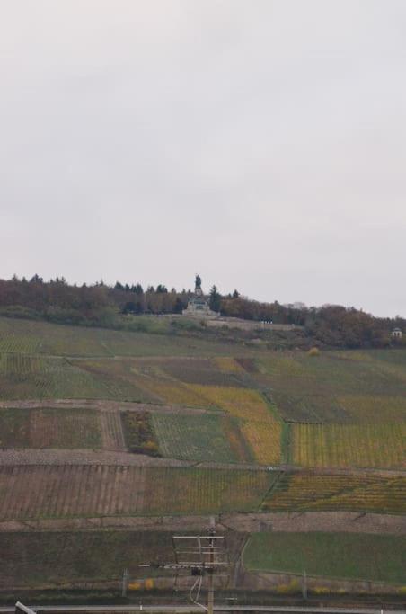 RheinBlick