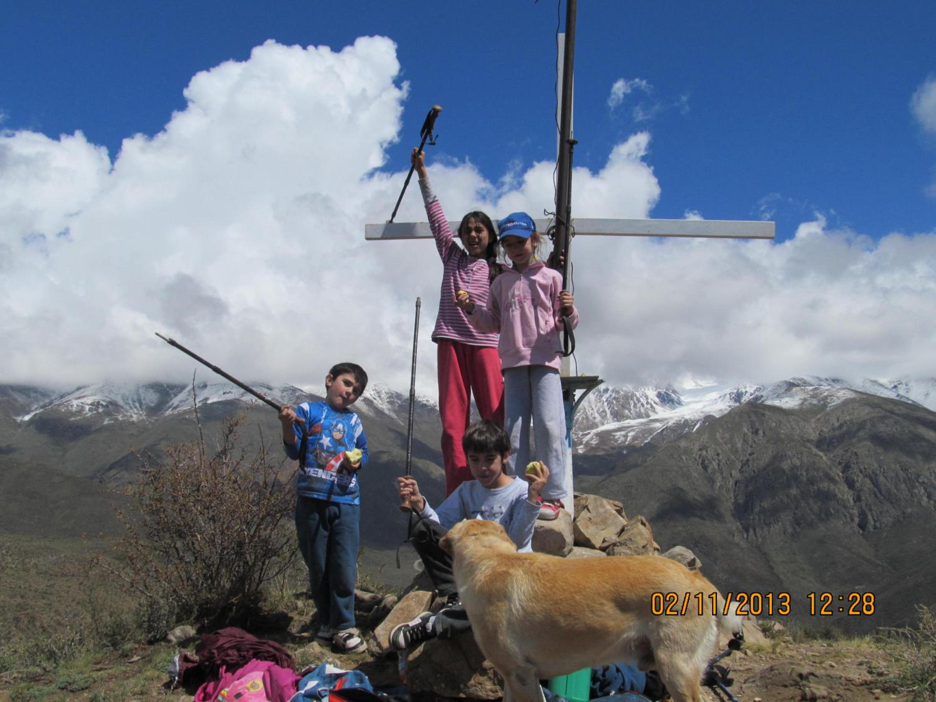 Los Coirones