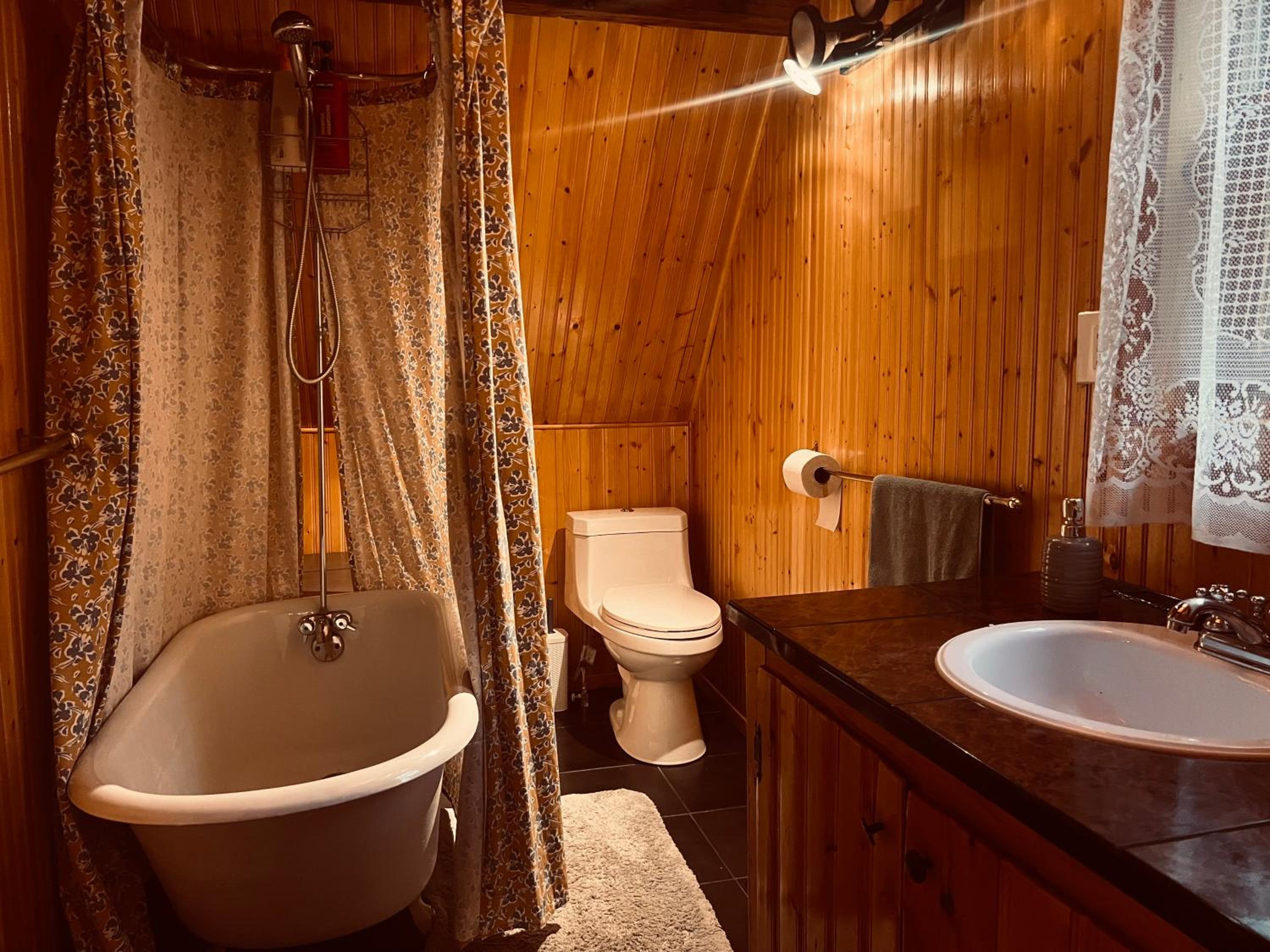 Chalet Nid Vert