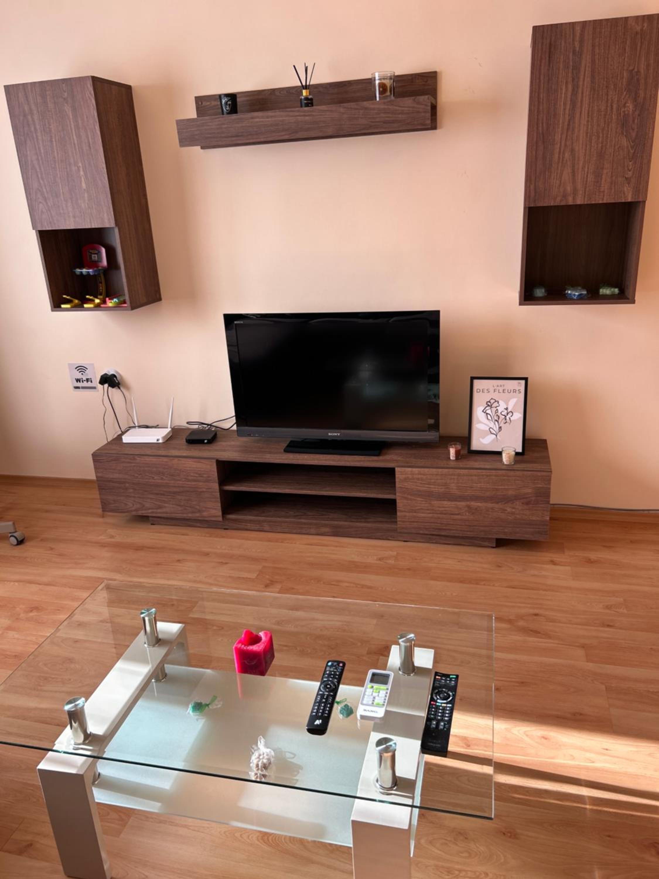 Nice, Spacious and Cozy Apartment