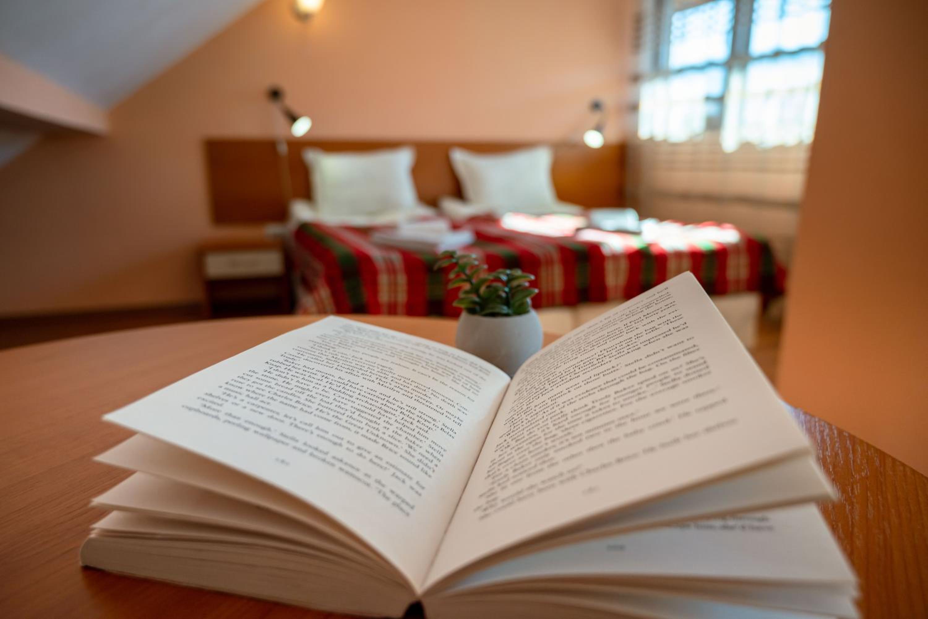 Bansko Vacations - Chalet Bizet cosy home in Bansko breakfast incl - Property Image 12