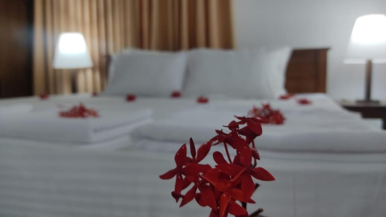 Royal Homestay cozy 2 bedroom house with all the facilities
