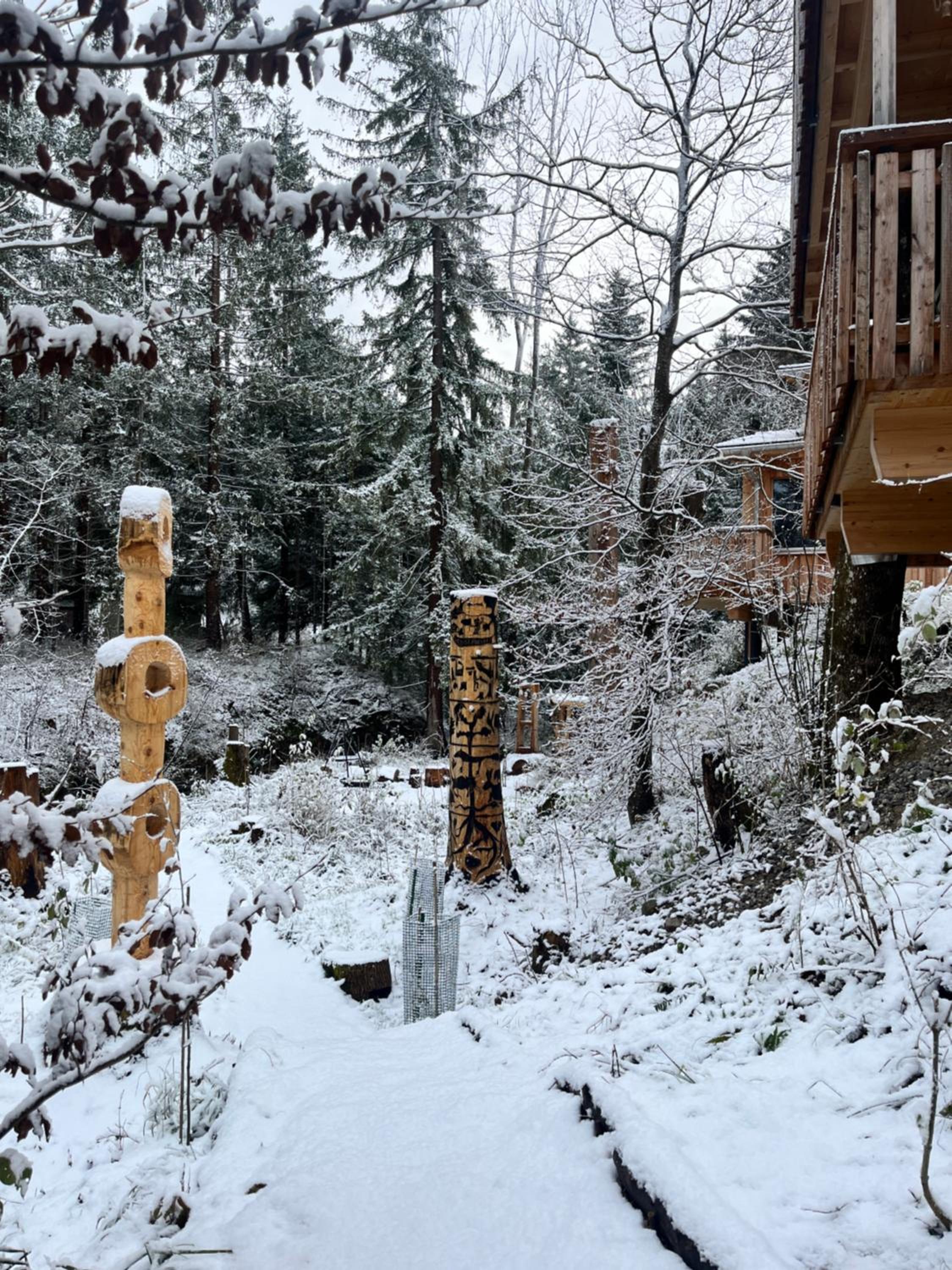Wald ist Zukunft