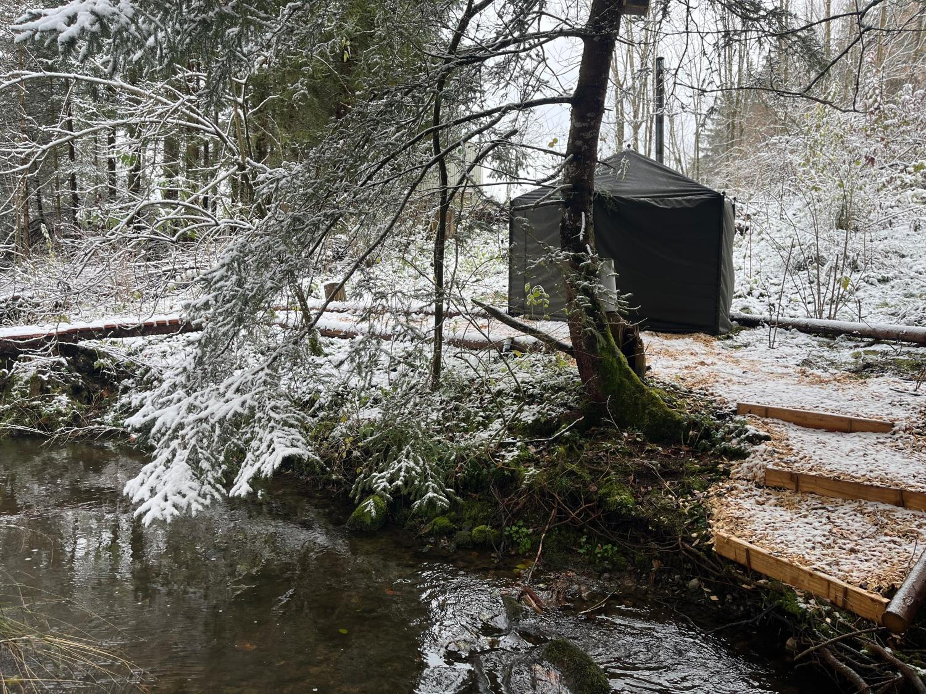 Wald ist Zukunft